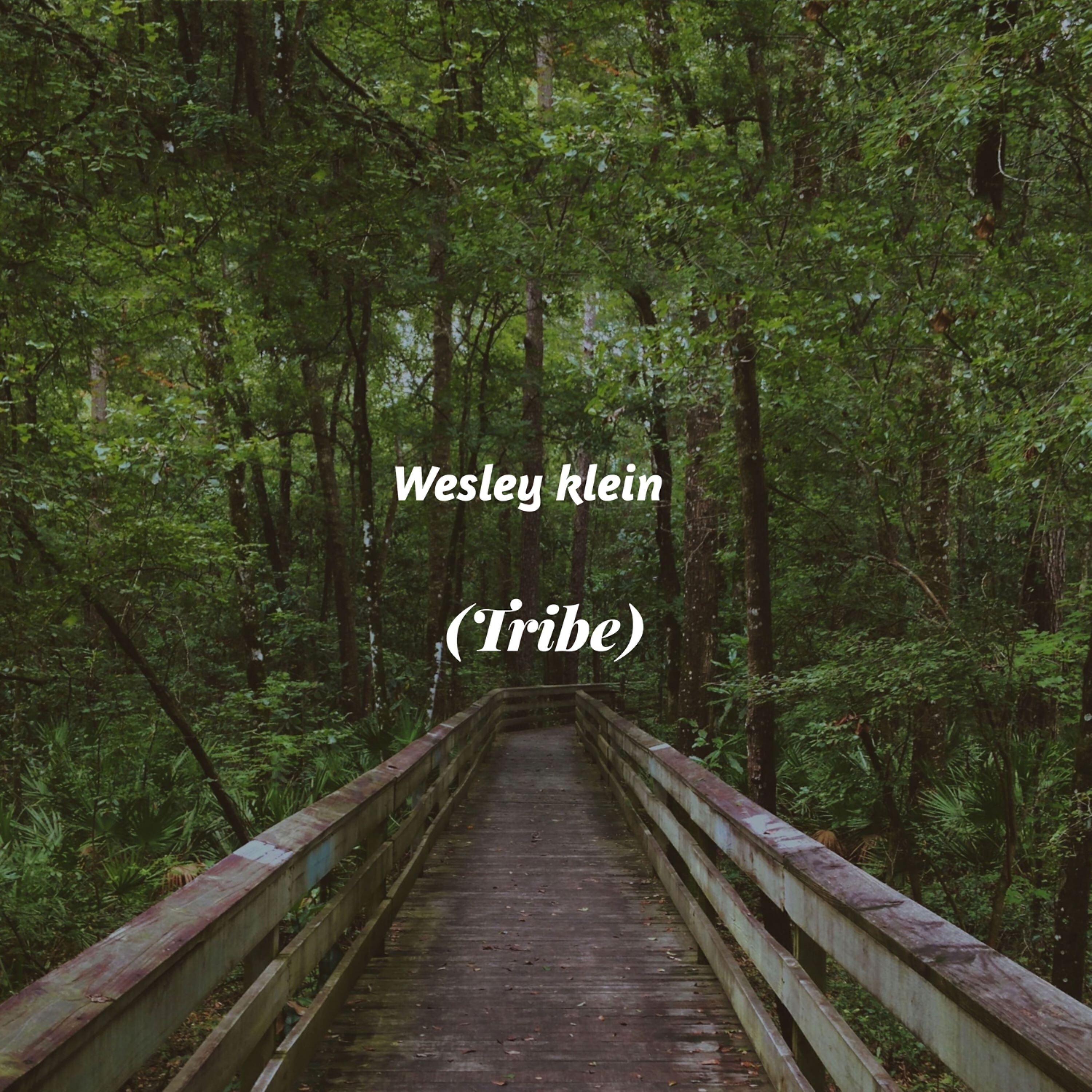 Релиз Tribe