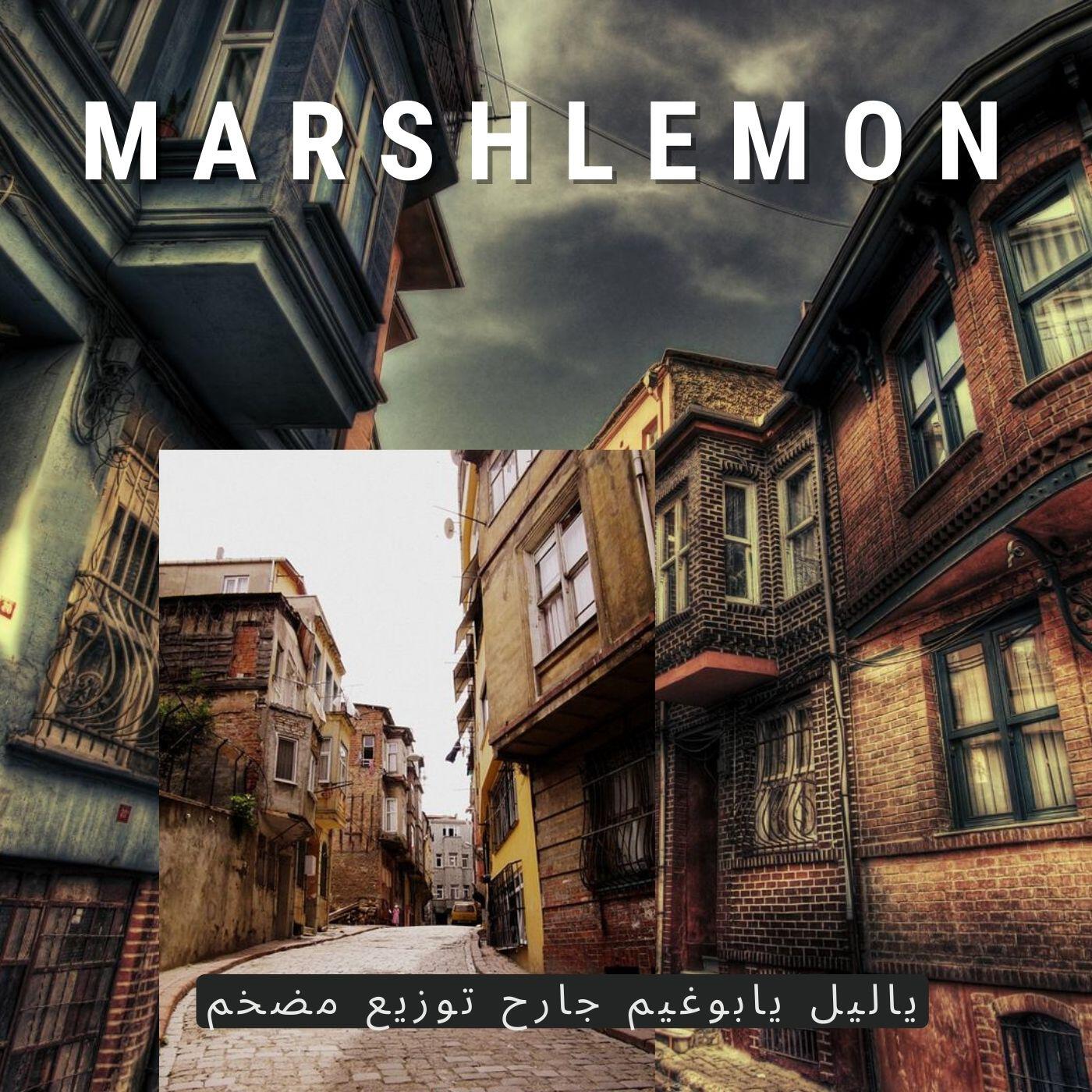 Релиз ياليل يابوغيم جارح توزيع مضخم