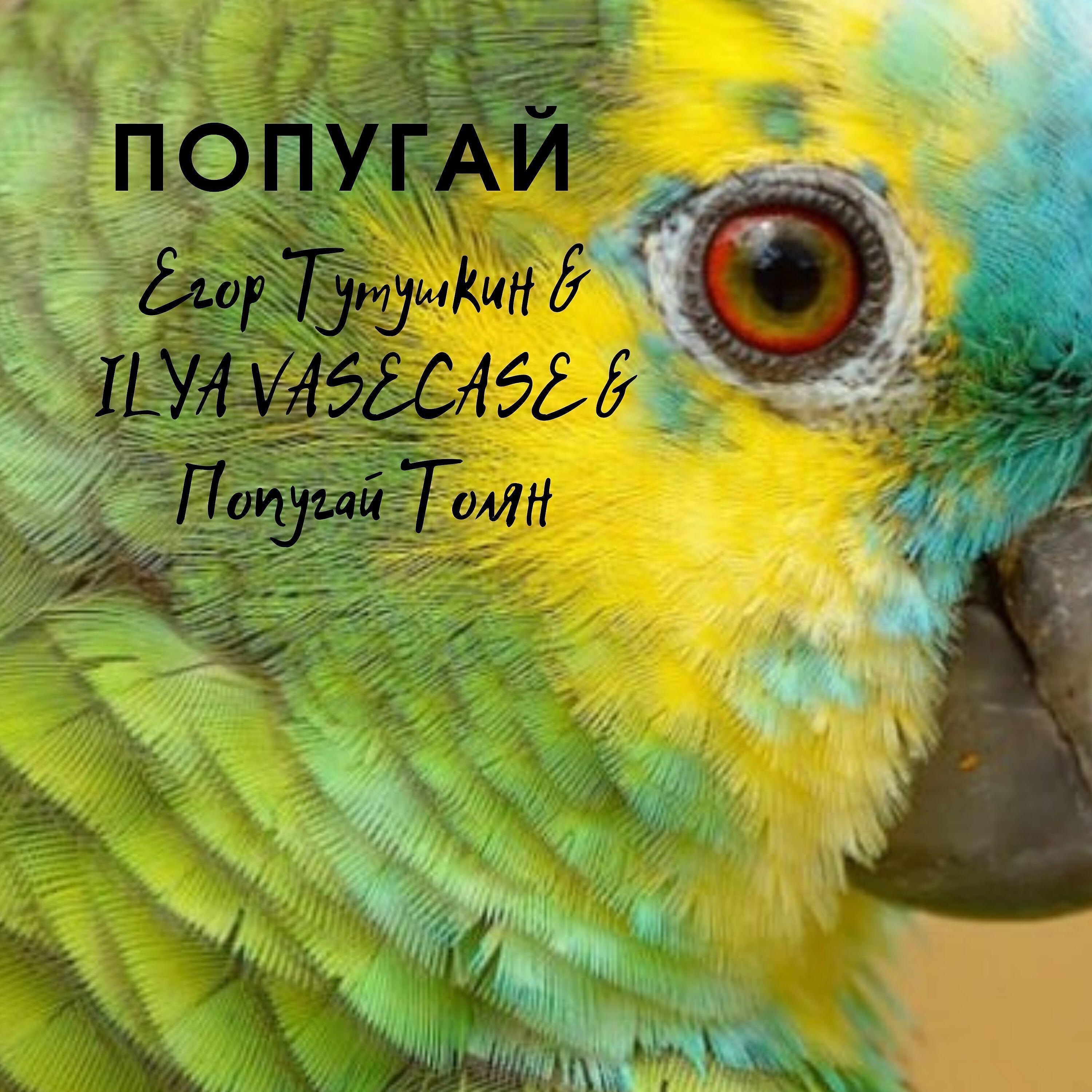 Егор Тутушкин