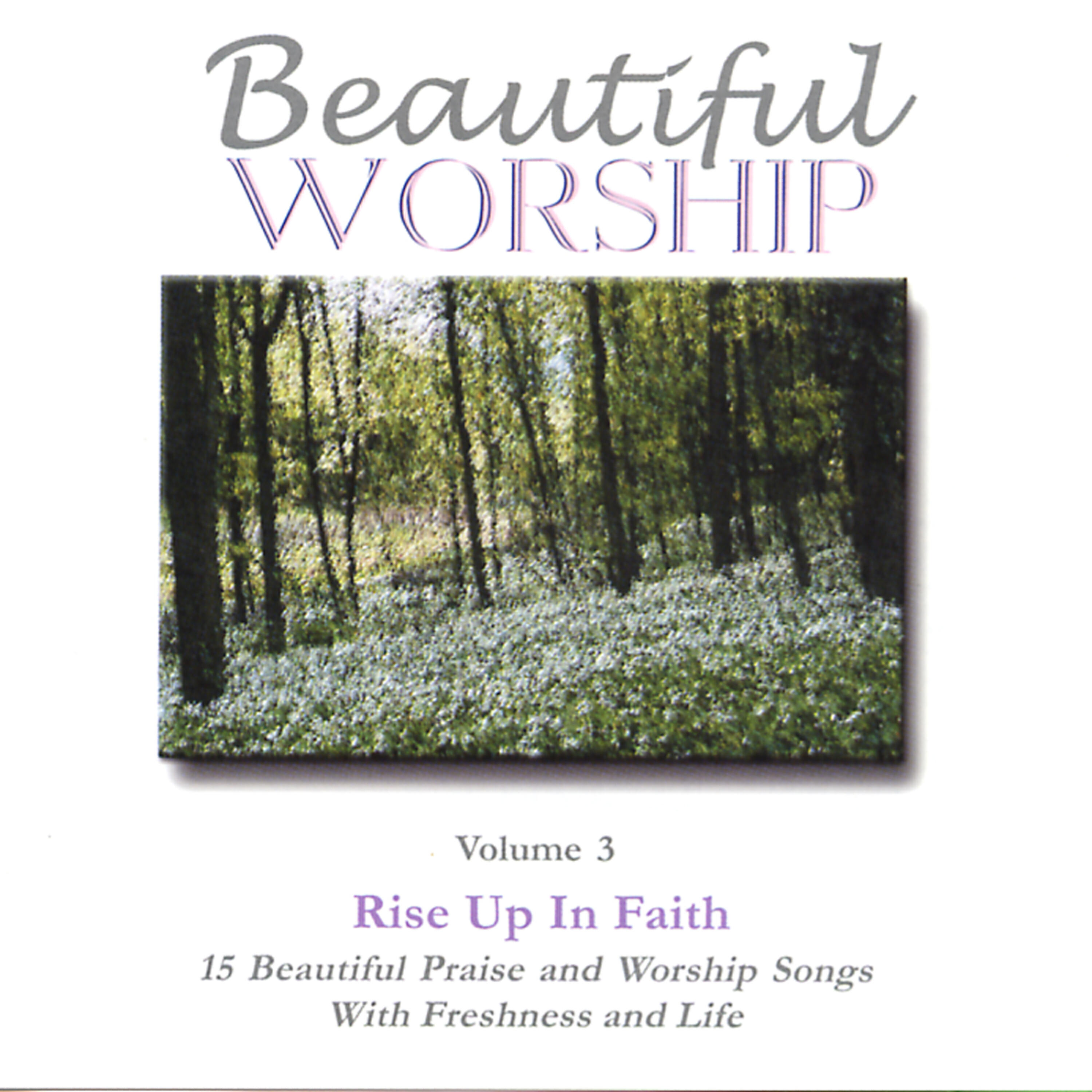 Релиз Beautiful Worship, Vol. 3 - Rise Up In Faith