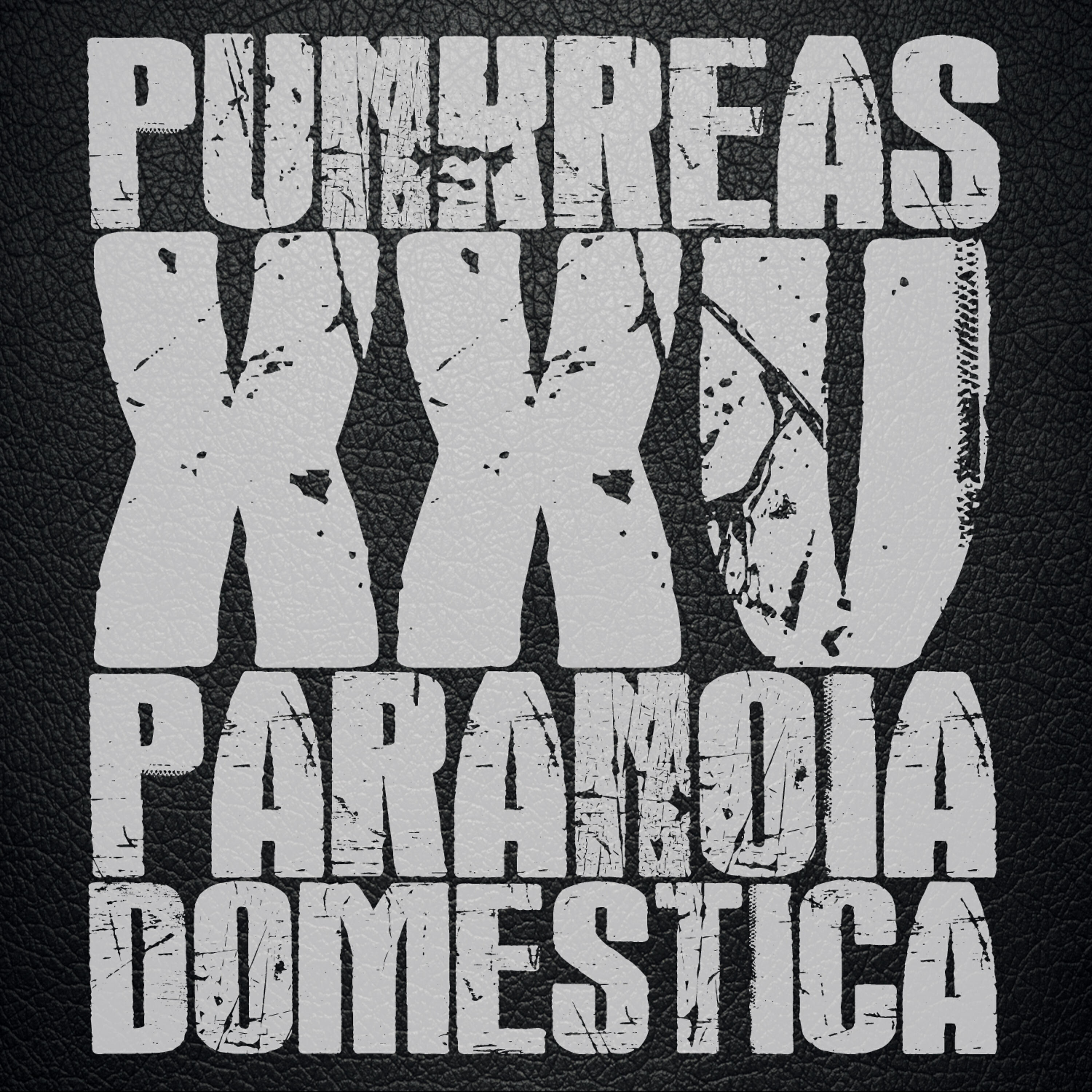 Релиз XXV Paranoia Domestica