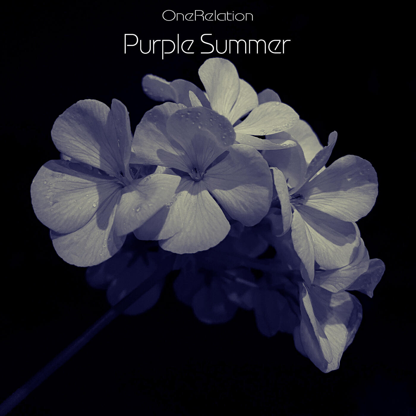 Релиз Purple Summer