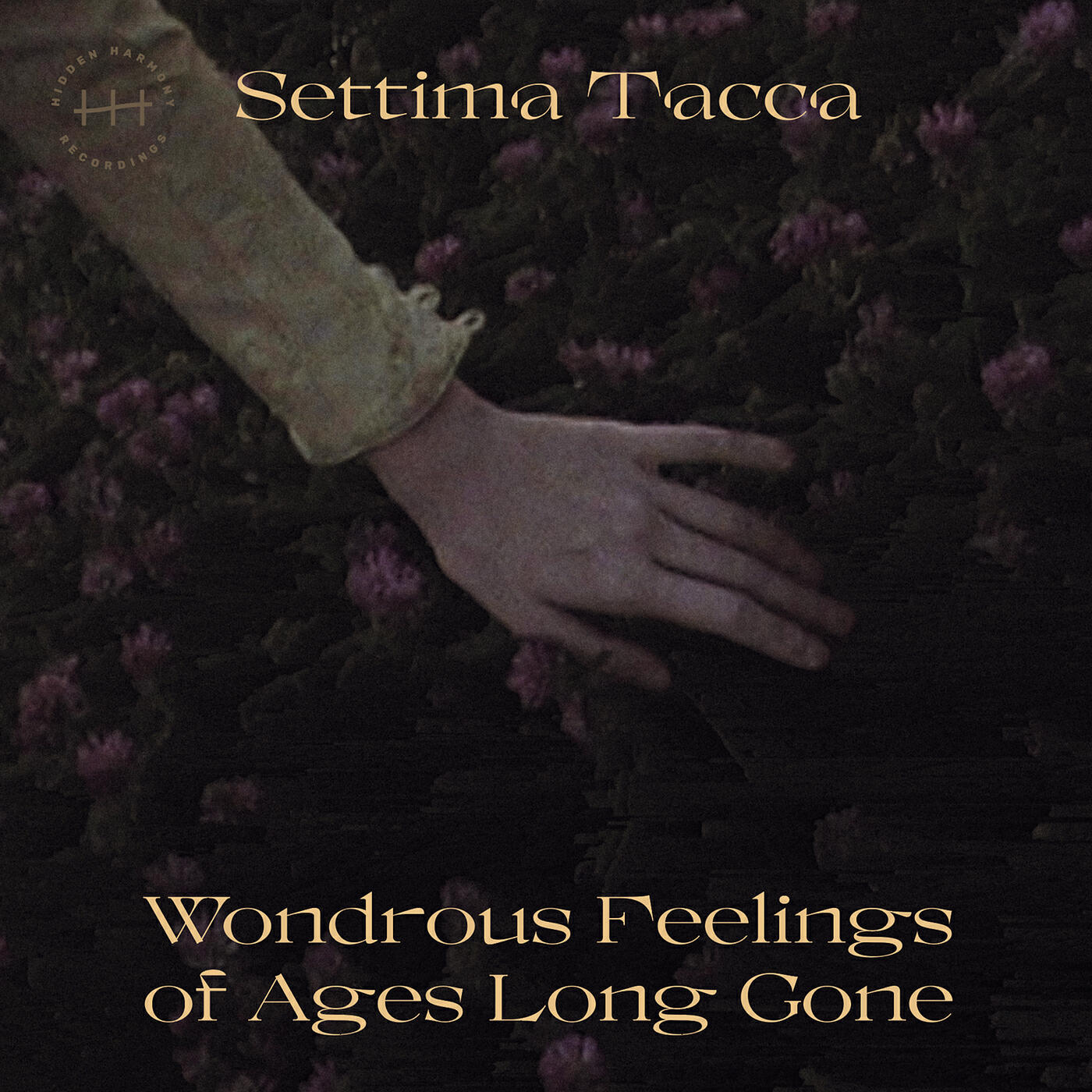 Релиз Wondrous Feeling of Ages Long Gone