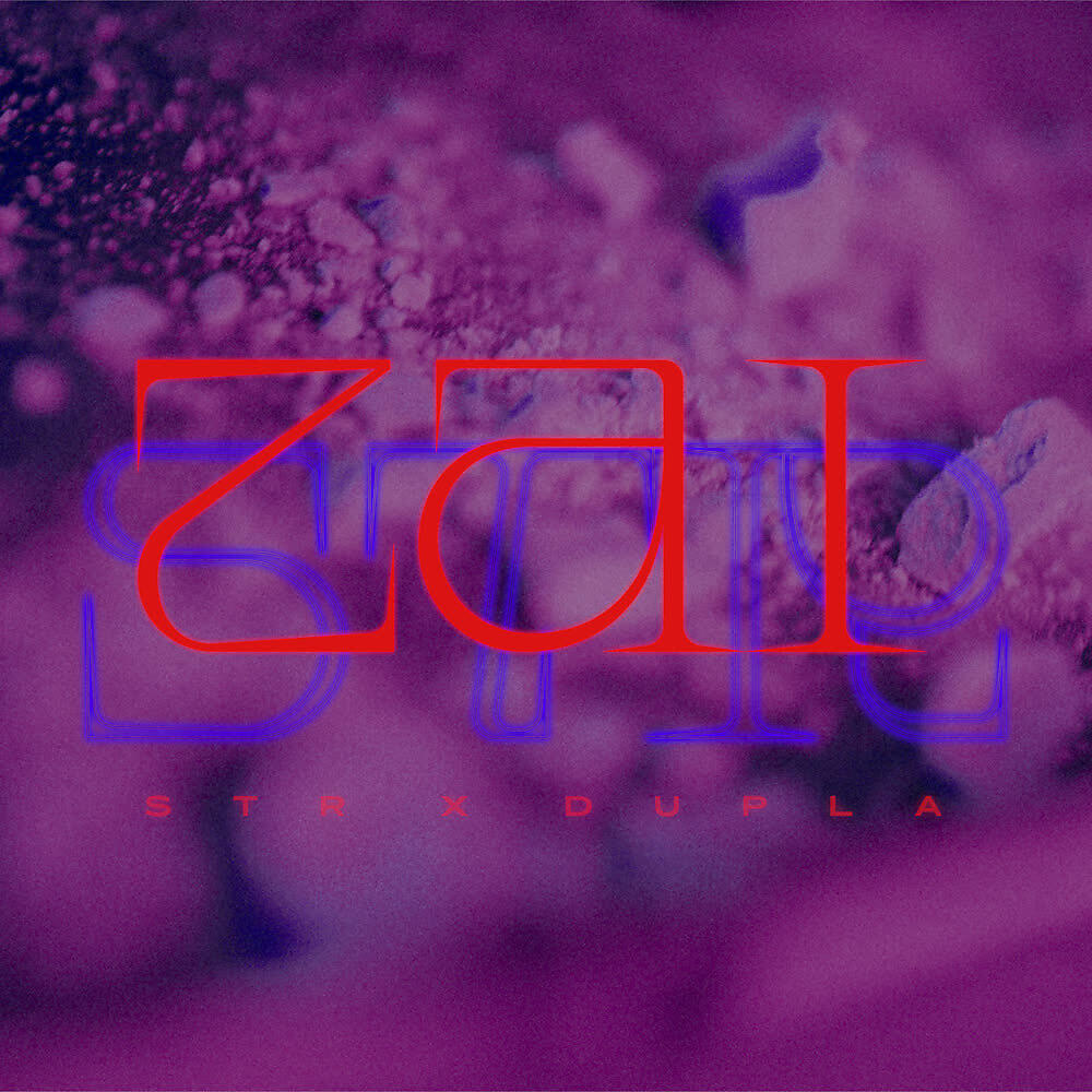 Трек ZAI