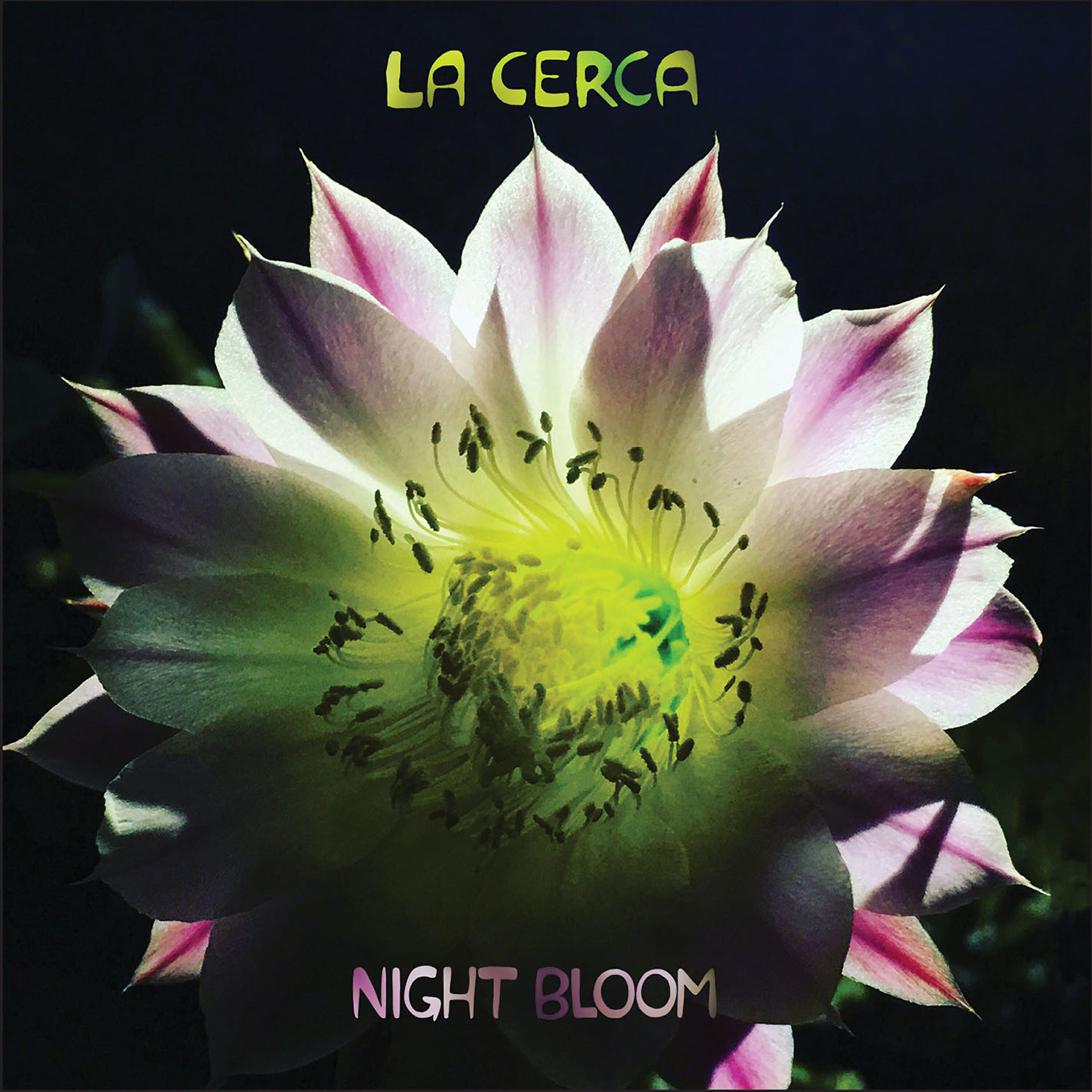 Релиз Night Bloom