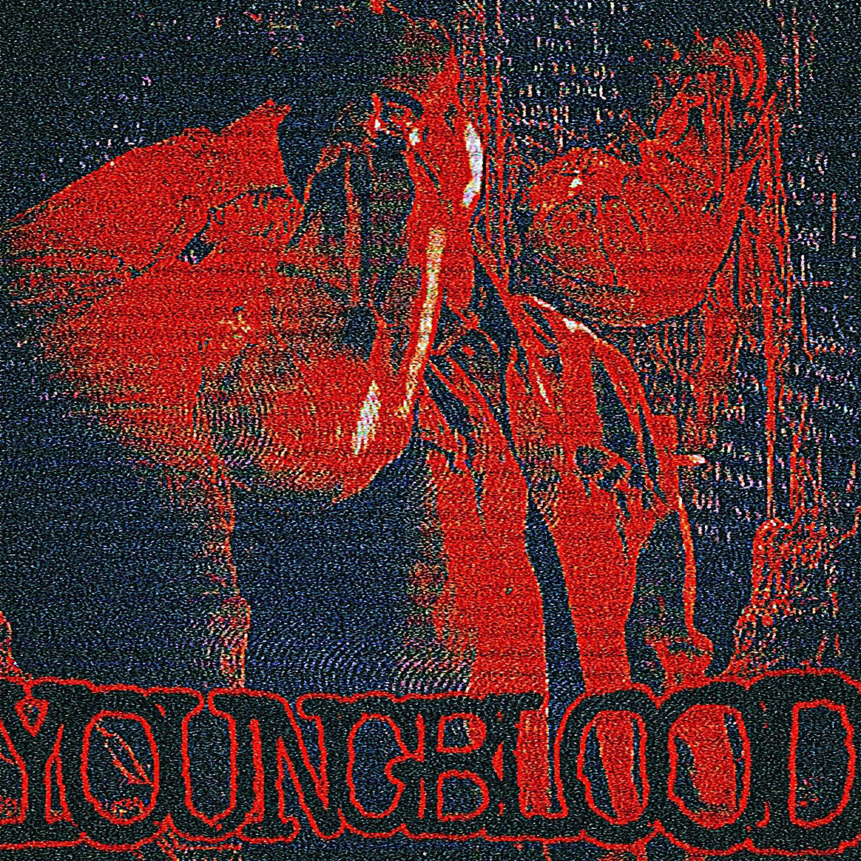 Релиз Not Better