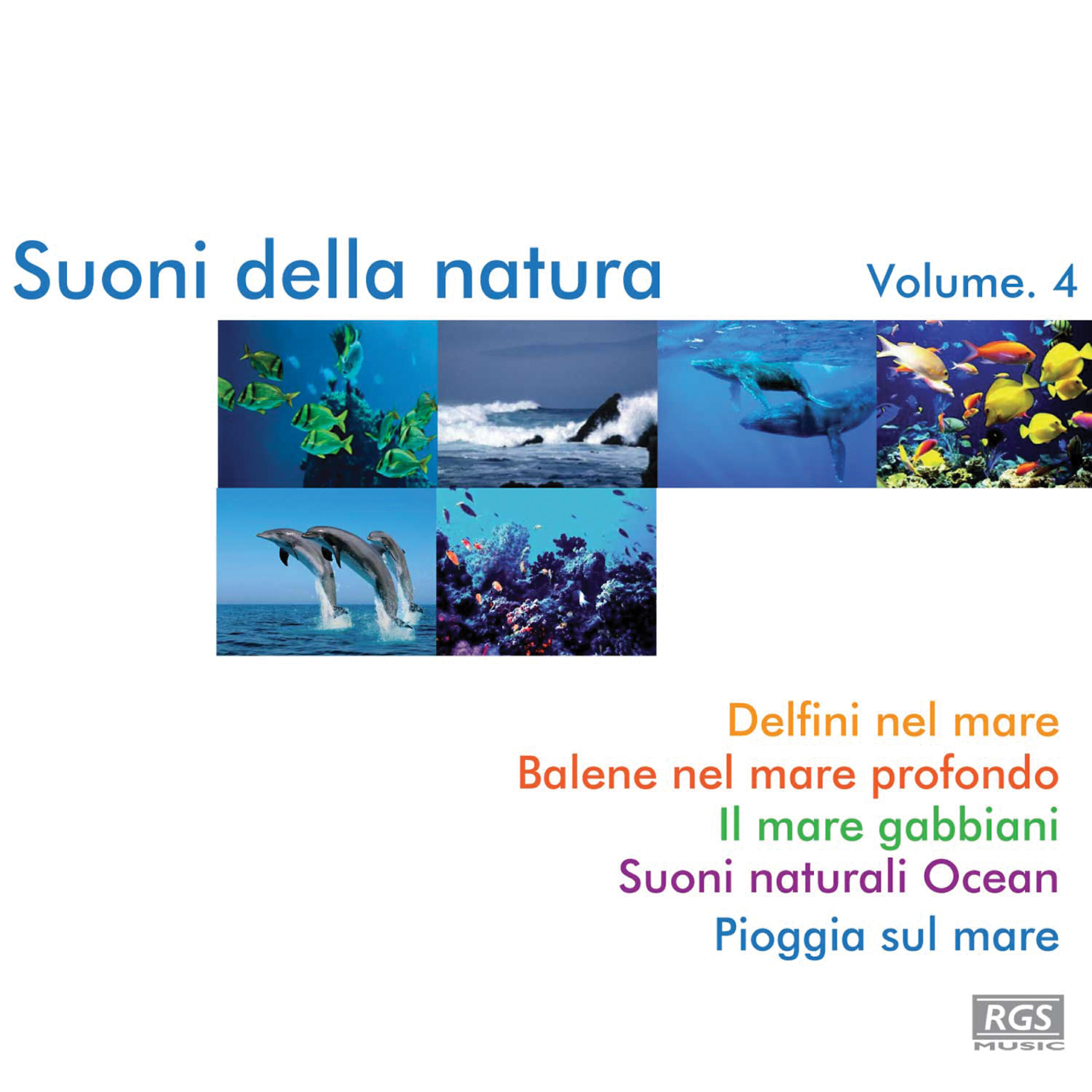 Релиз Suoni Della Natura Volume 4
