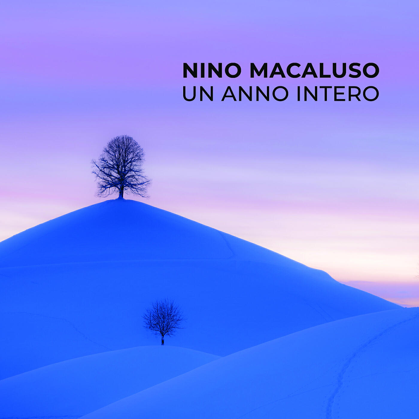 Релиз UN ANNO INTERO