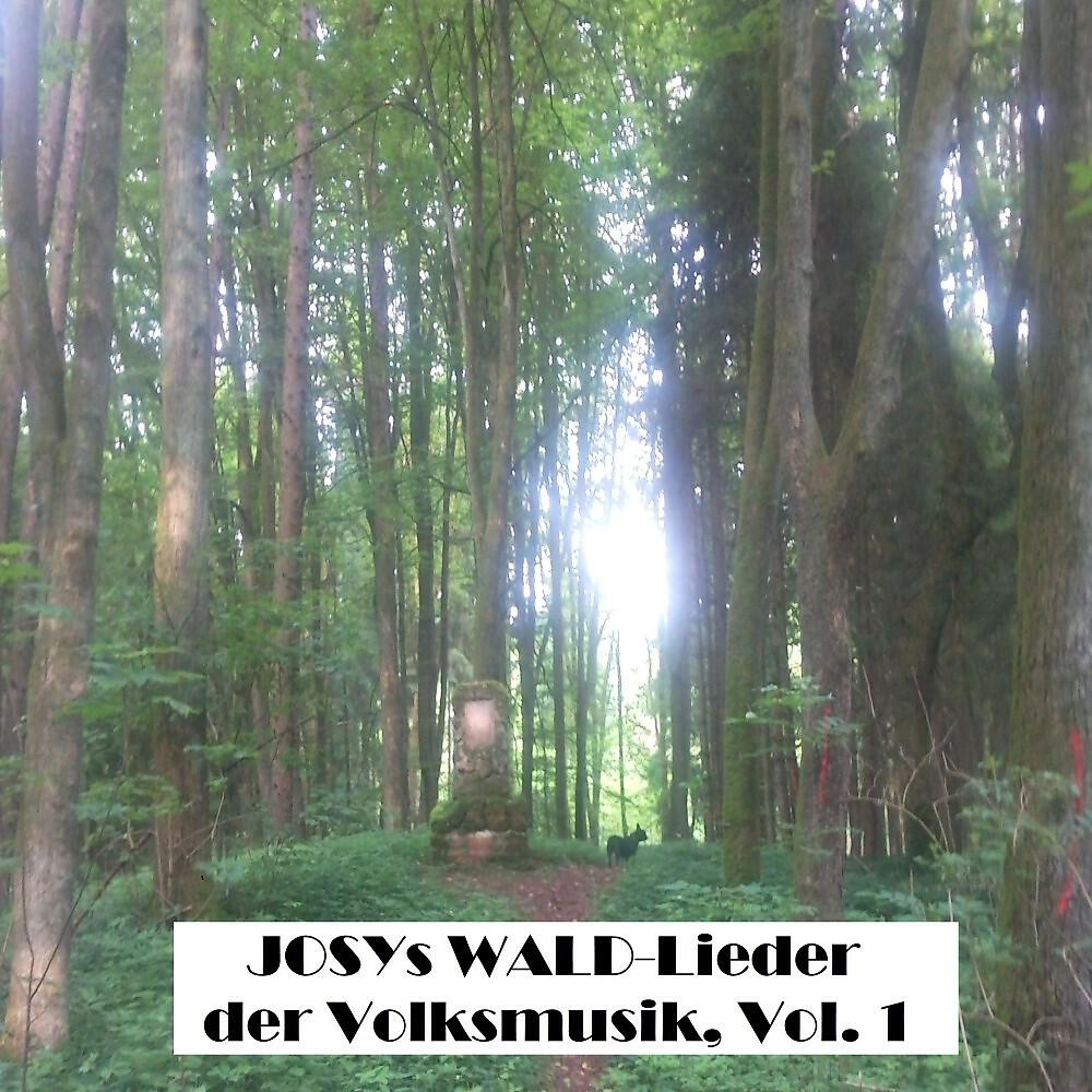 Релиз Josys WALD-Lieder der Volksmusik, Vol. 1