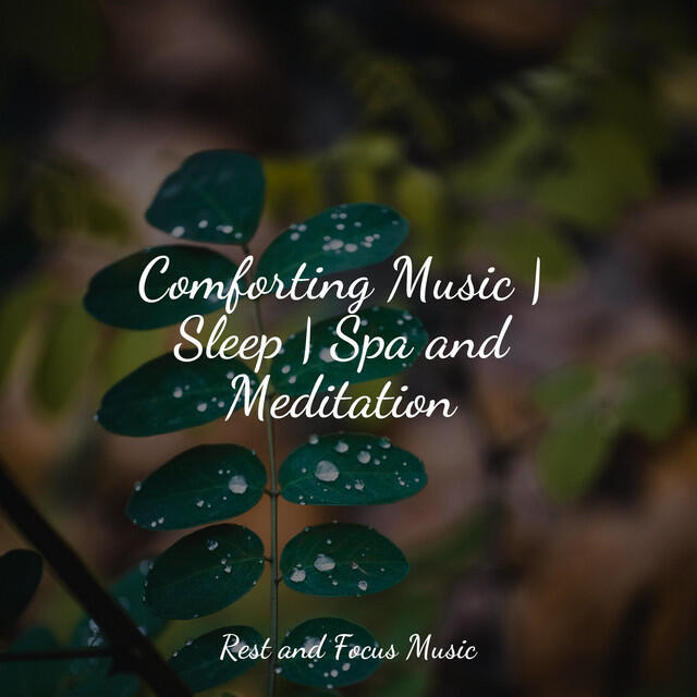 Релиз Comforting Music | Sleep | Spa and Meditation