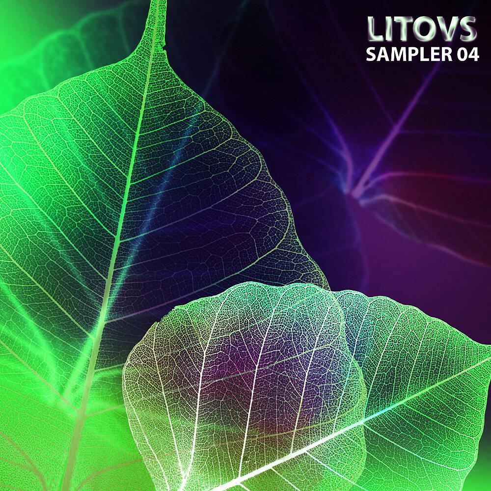 Постер альбома Litovs Sampler, Vol. 04