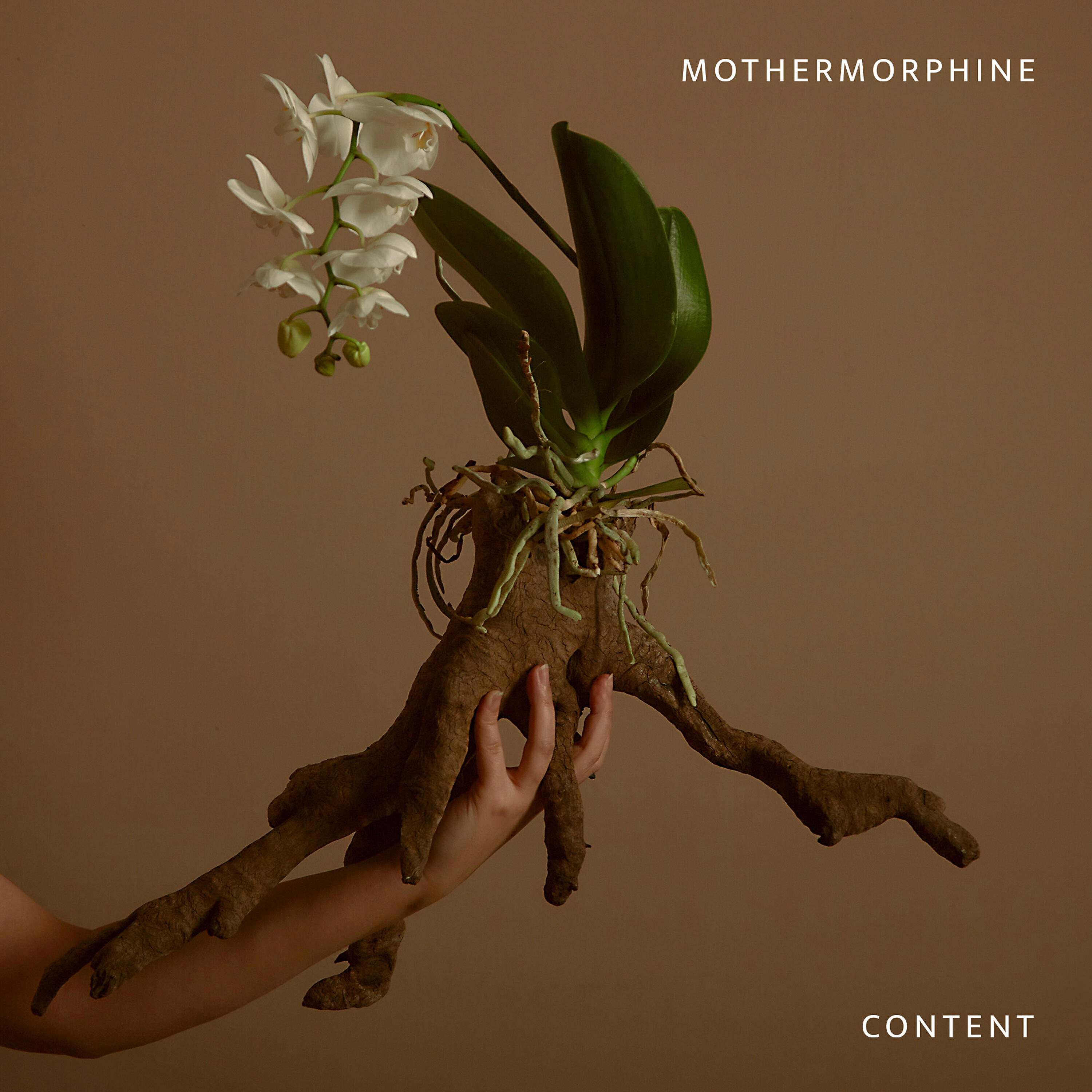 Релиз Content