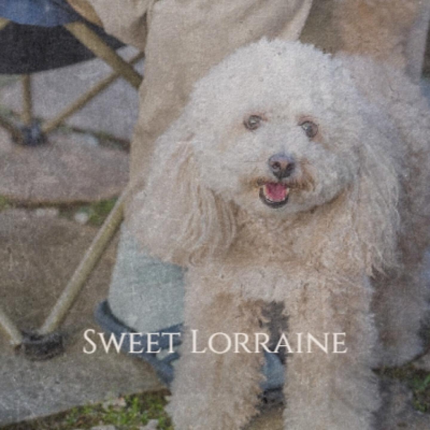 Релиз Sweet Lorraine