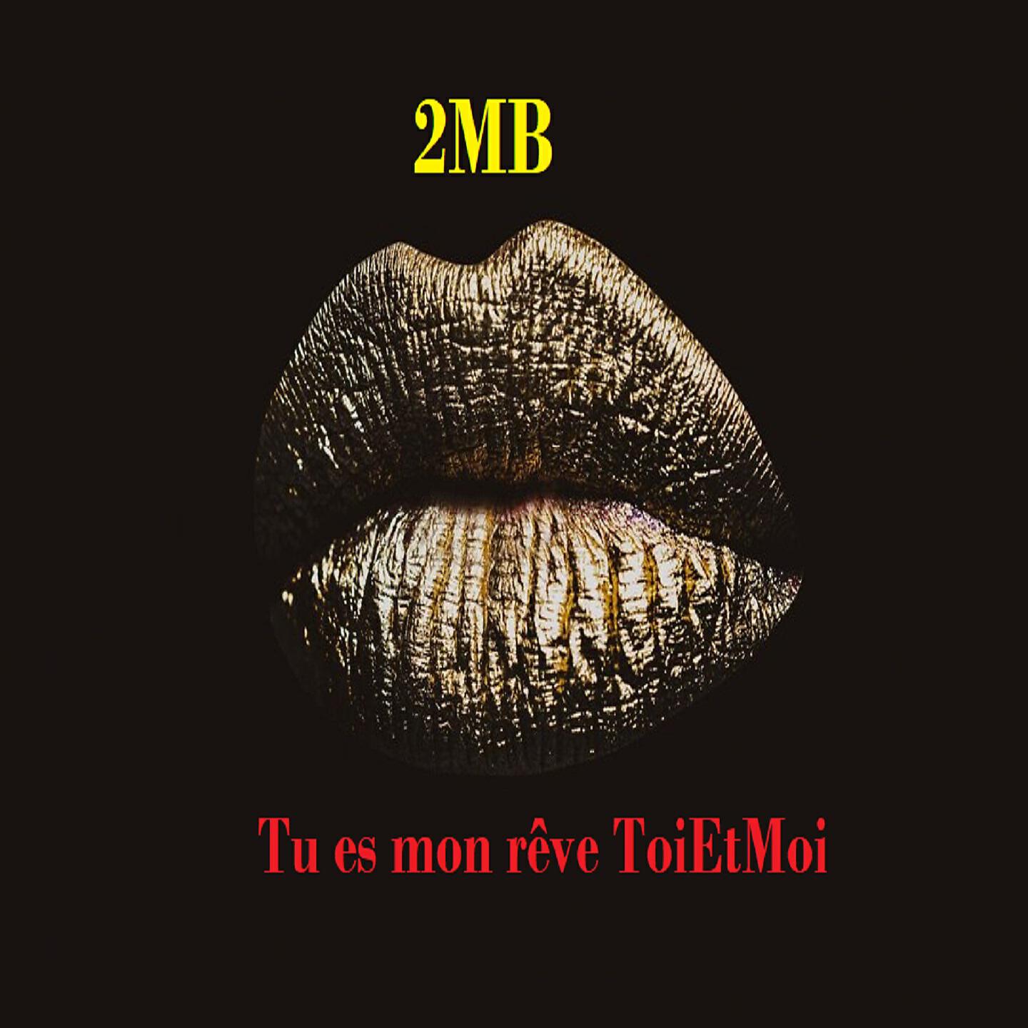 Релиз Tu es mon rêve ToiEtMoi