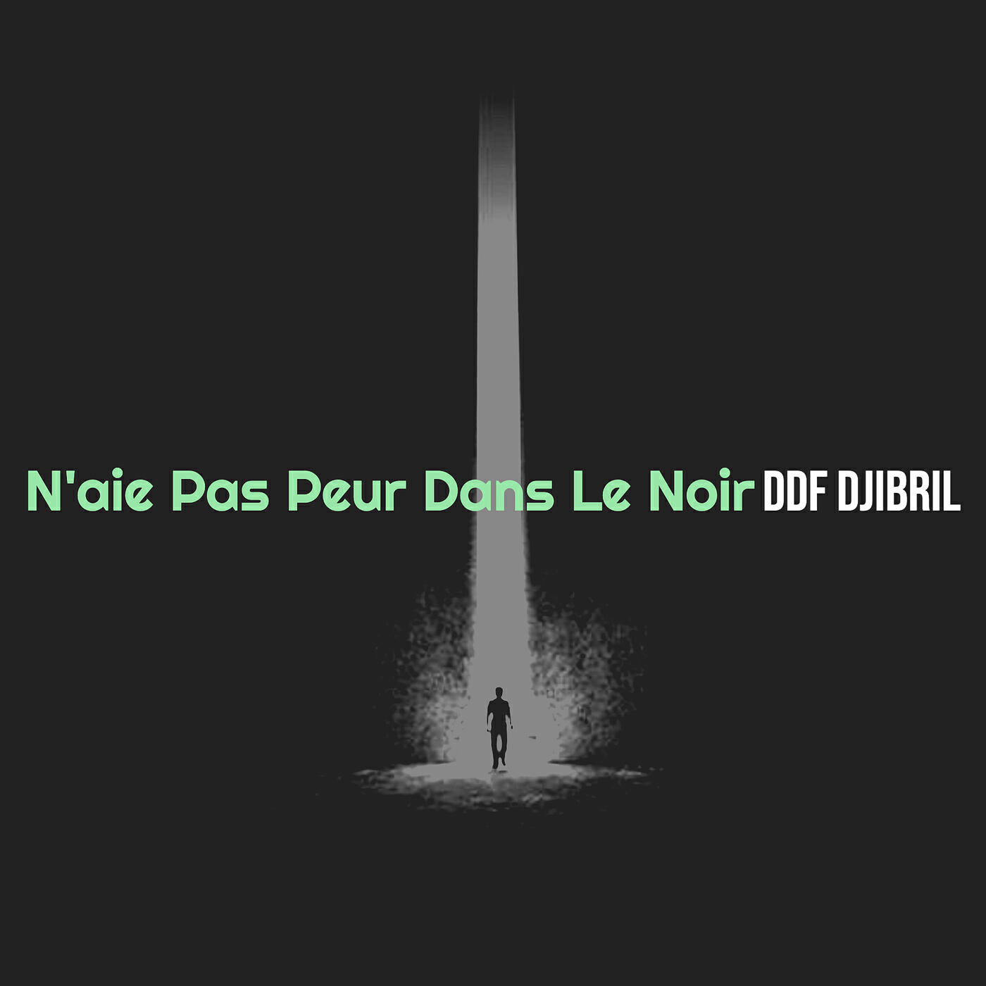 Релиз N'aie Pas Peur Dans Le Noir
