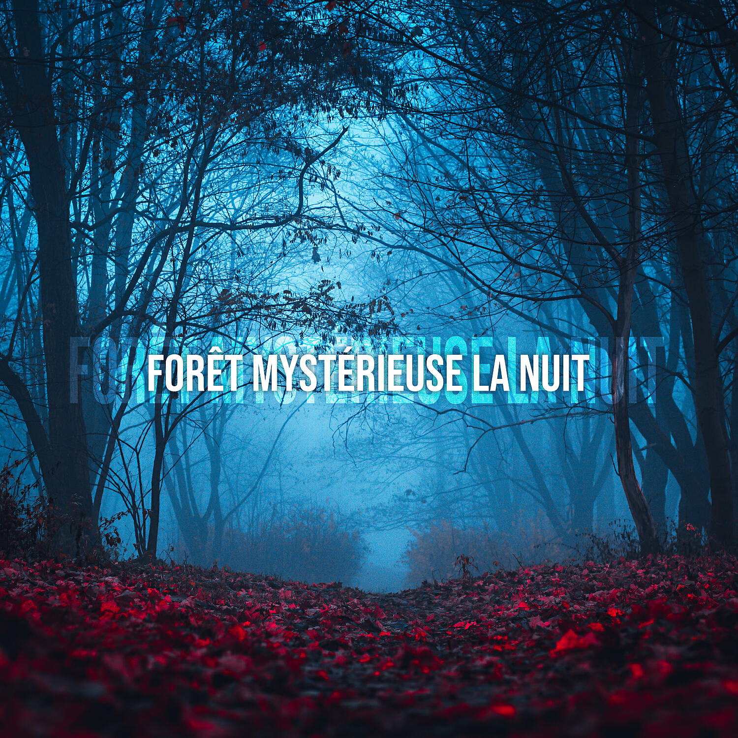 Релиз Forêt mystérieuse la nuit: Méditation avec la nature, Proche de la nature, Sons nocturnes apaisants, Bruits d'animaux