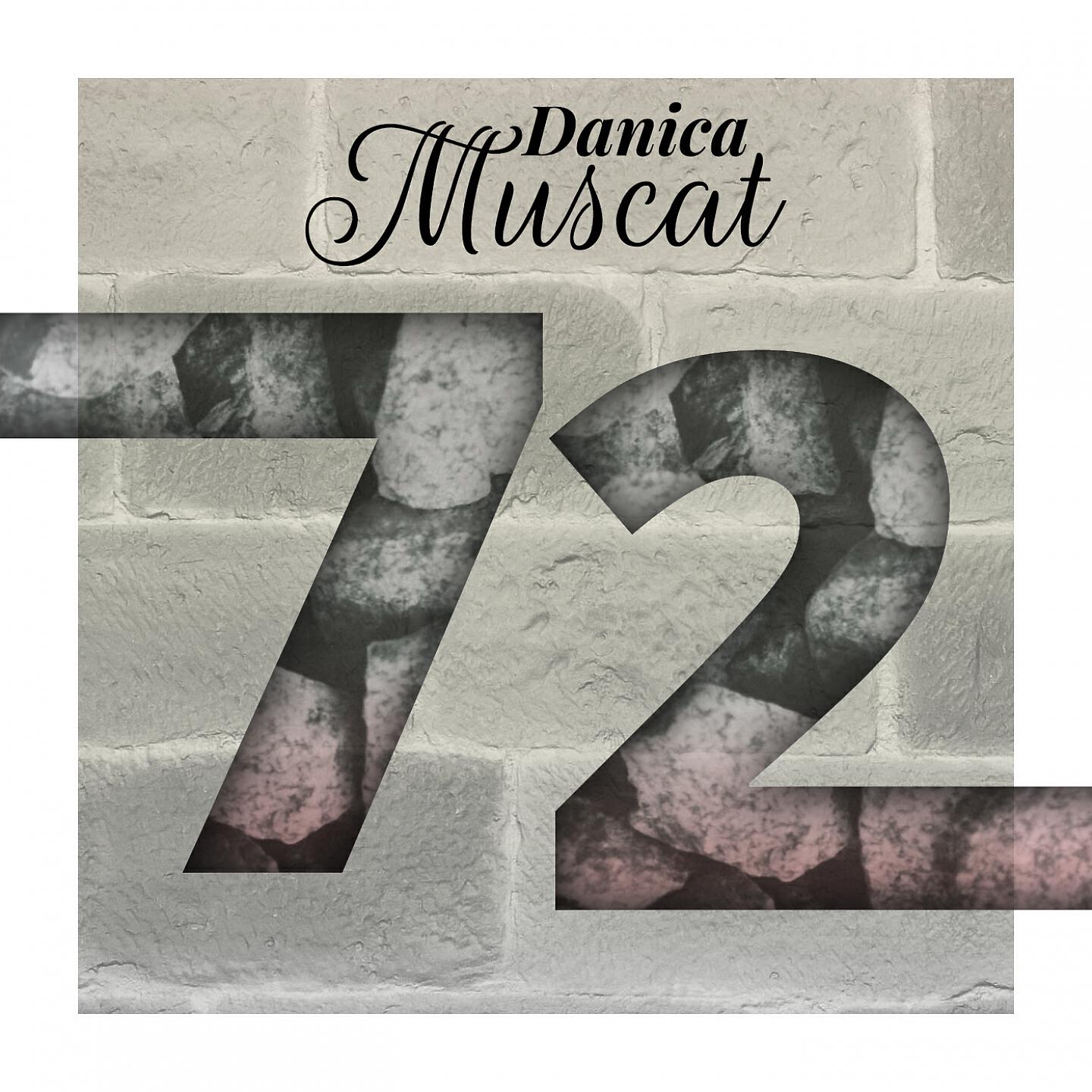 Релиз 72