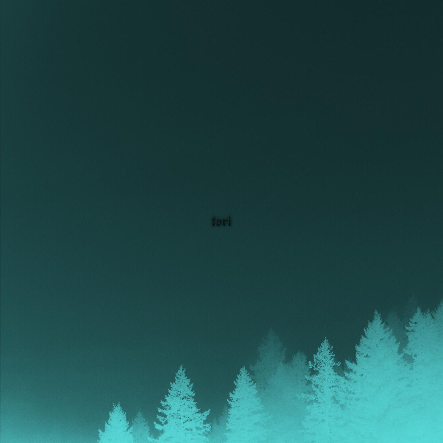 Релиз Tori