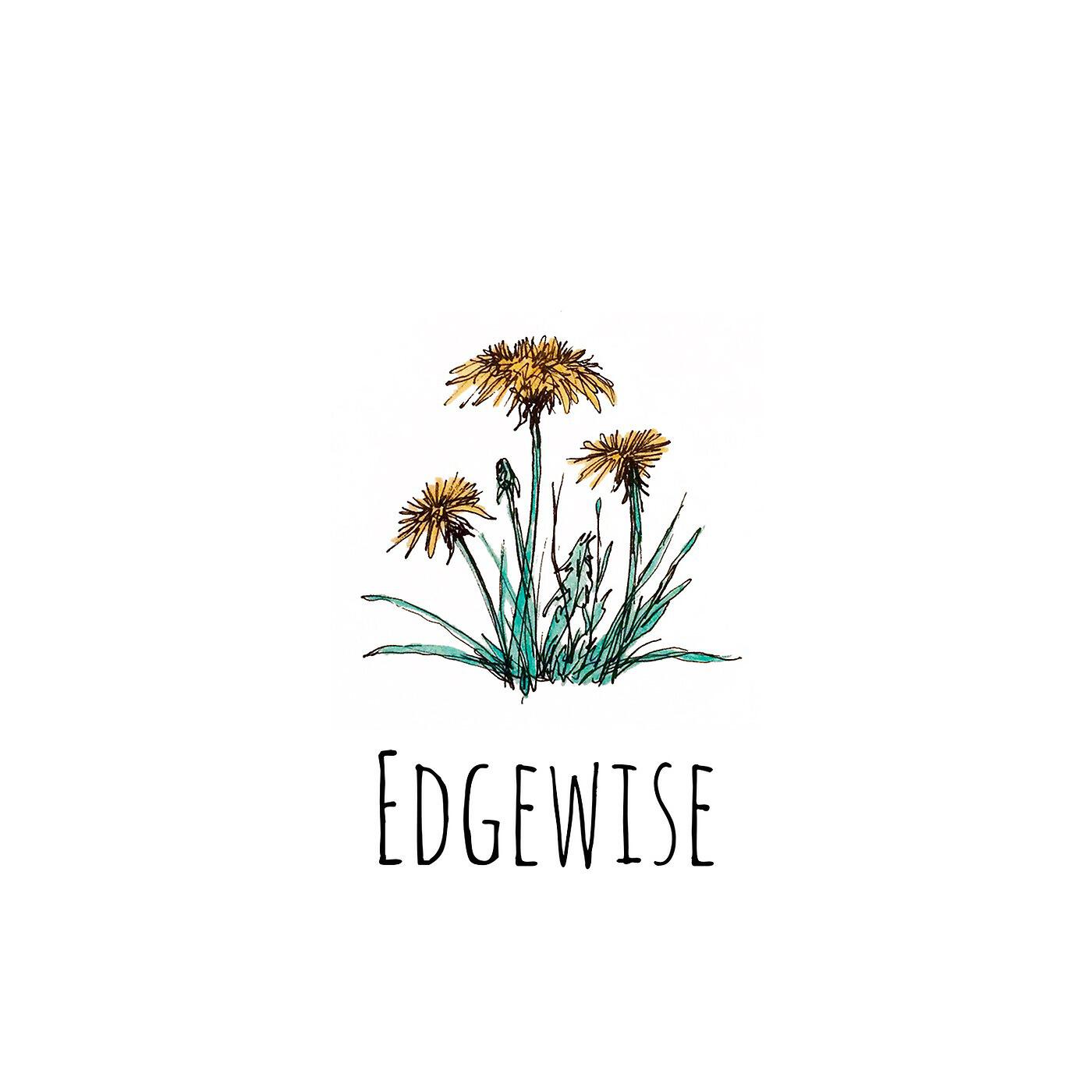 Релиз Edgewise