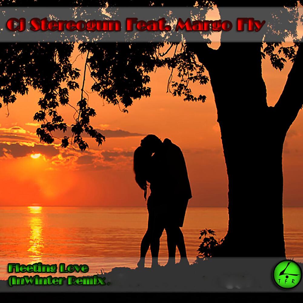 Релиз Fleeting Love (InWinter Remix)