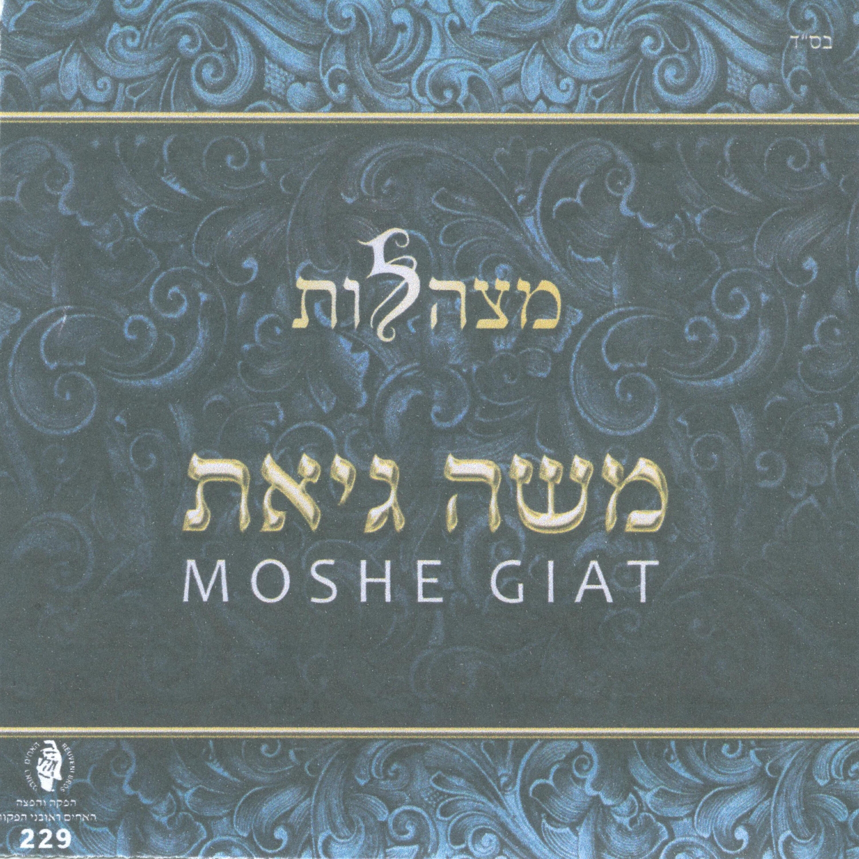 Релиз מצהלות