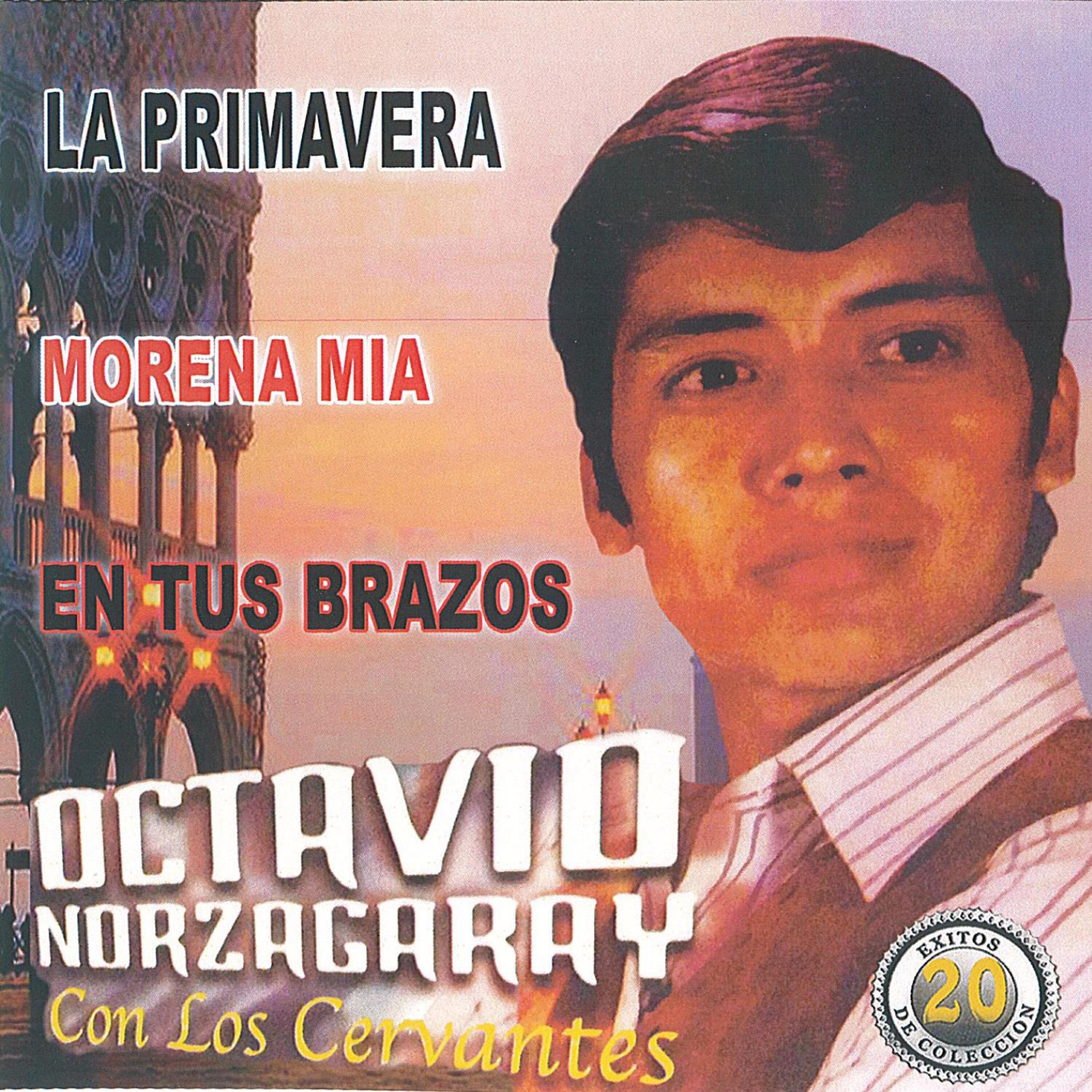Релиз 20 Exitos de Coleccion