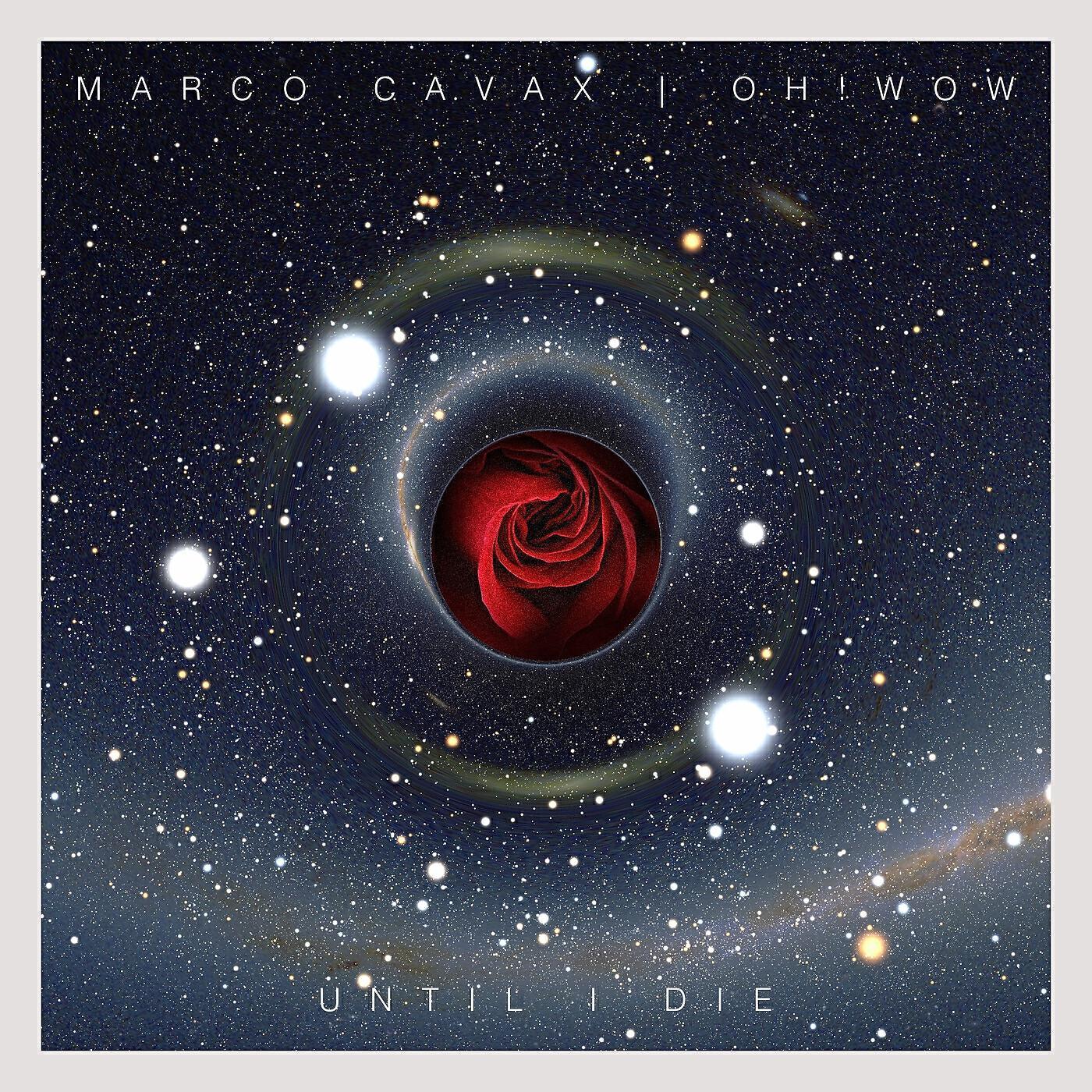 Marco Cavax