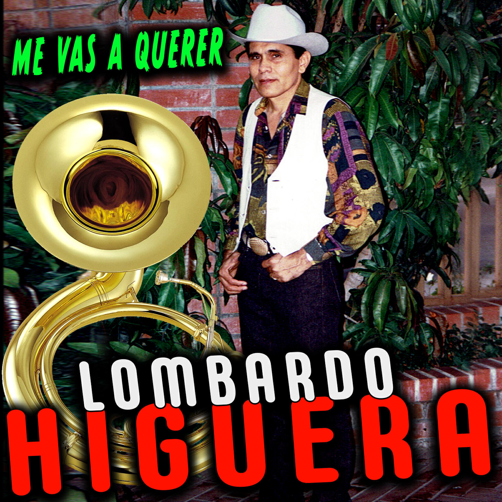 Релиз Me Vas a Querer