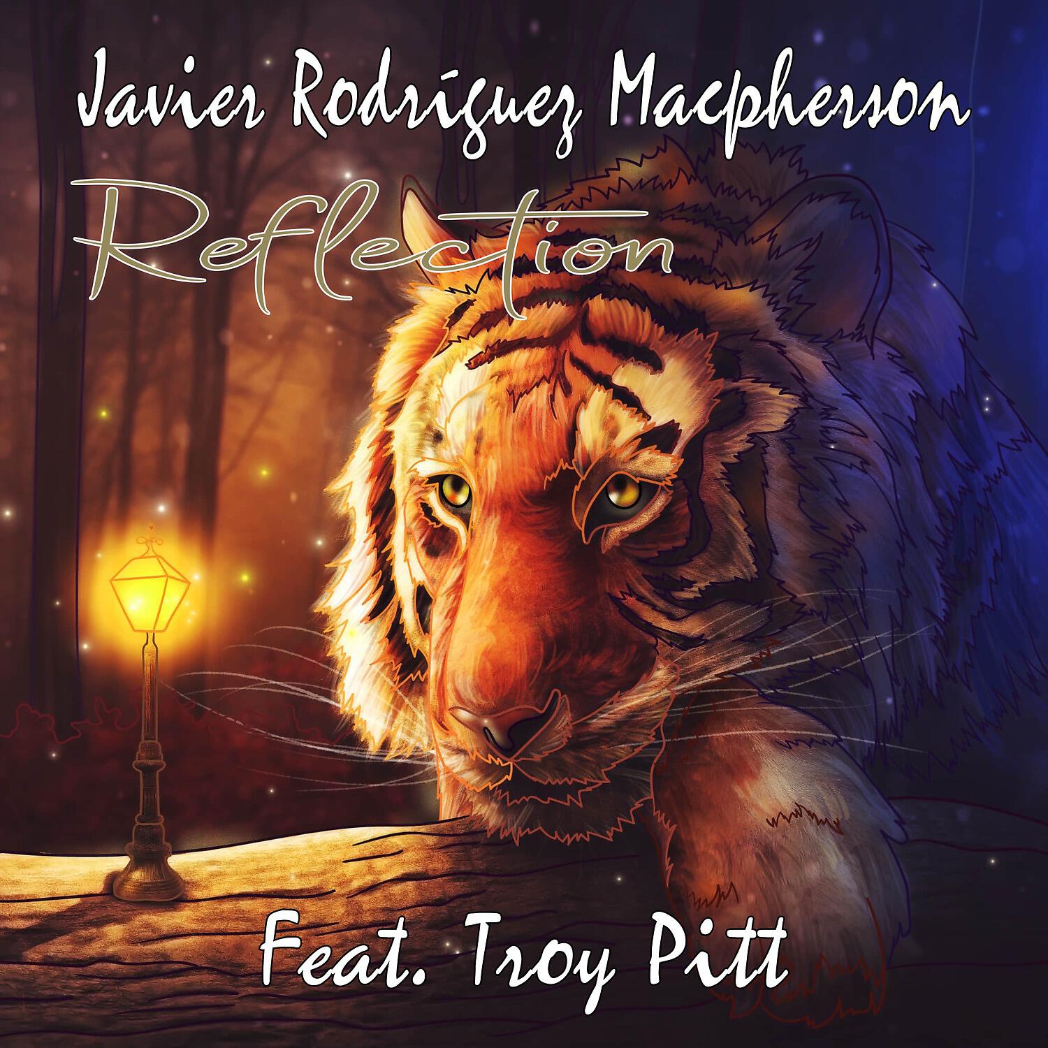 Релиз Reflection