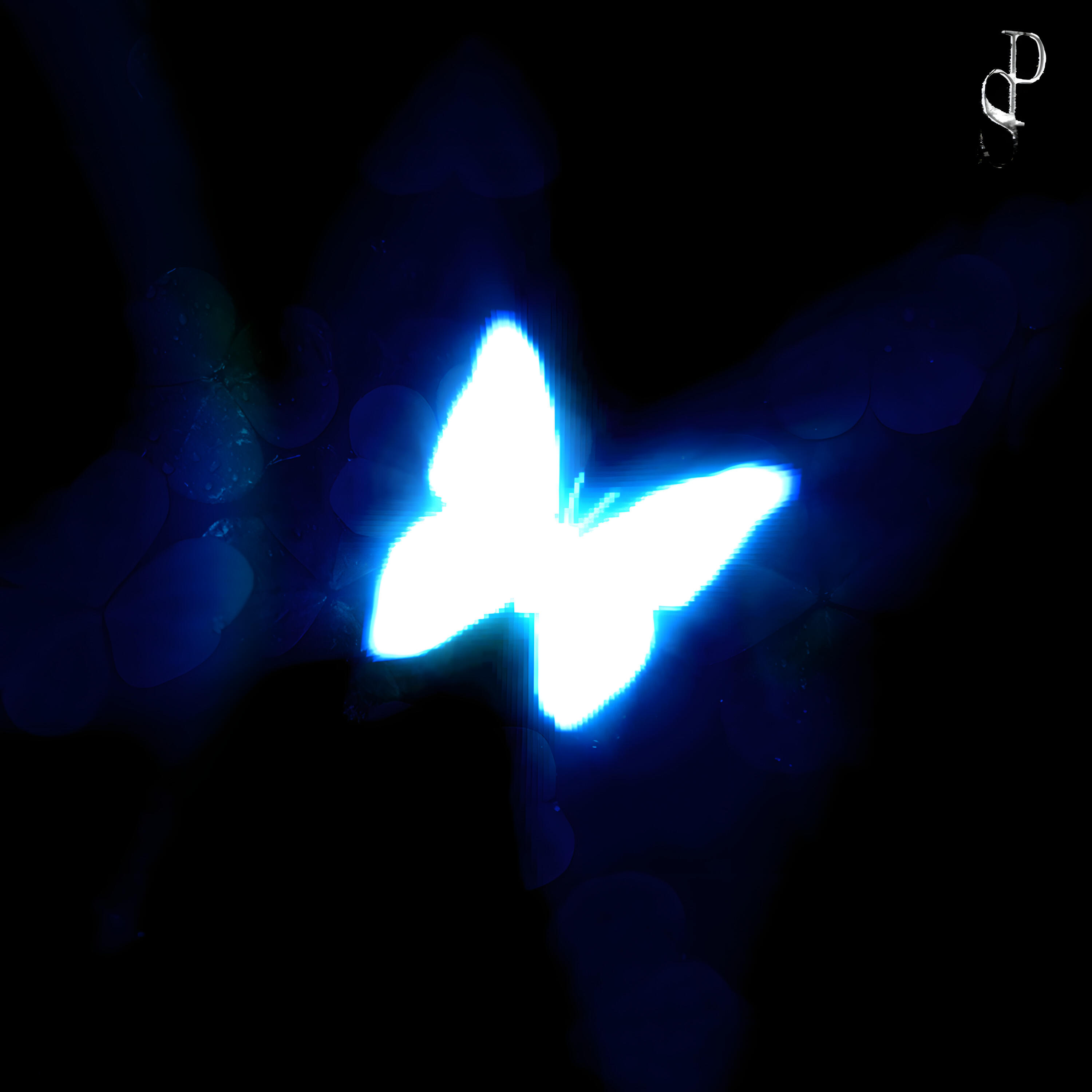 Релиз FLUTTER DE FUNK