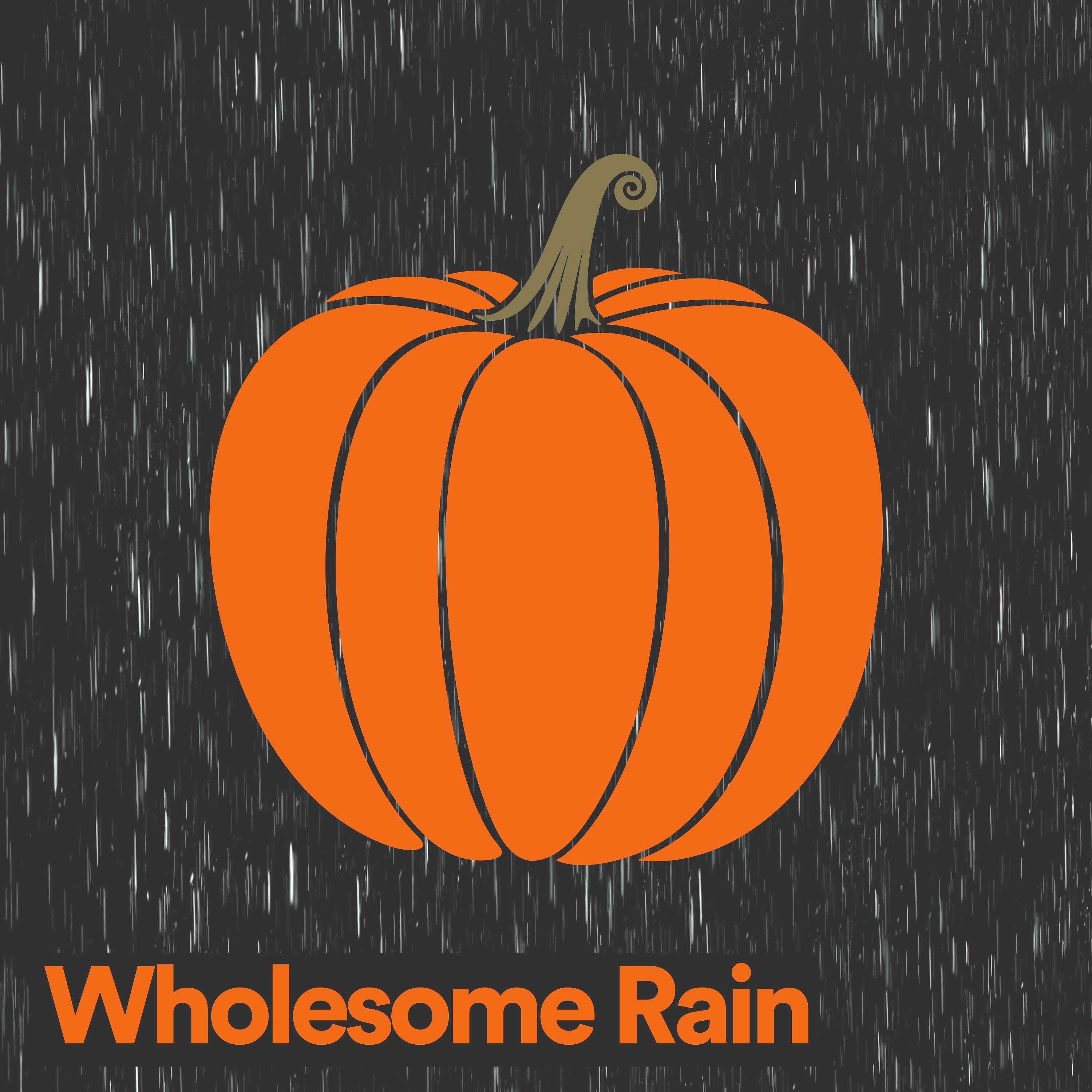 Релиз Wholesome Rain