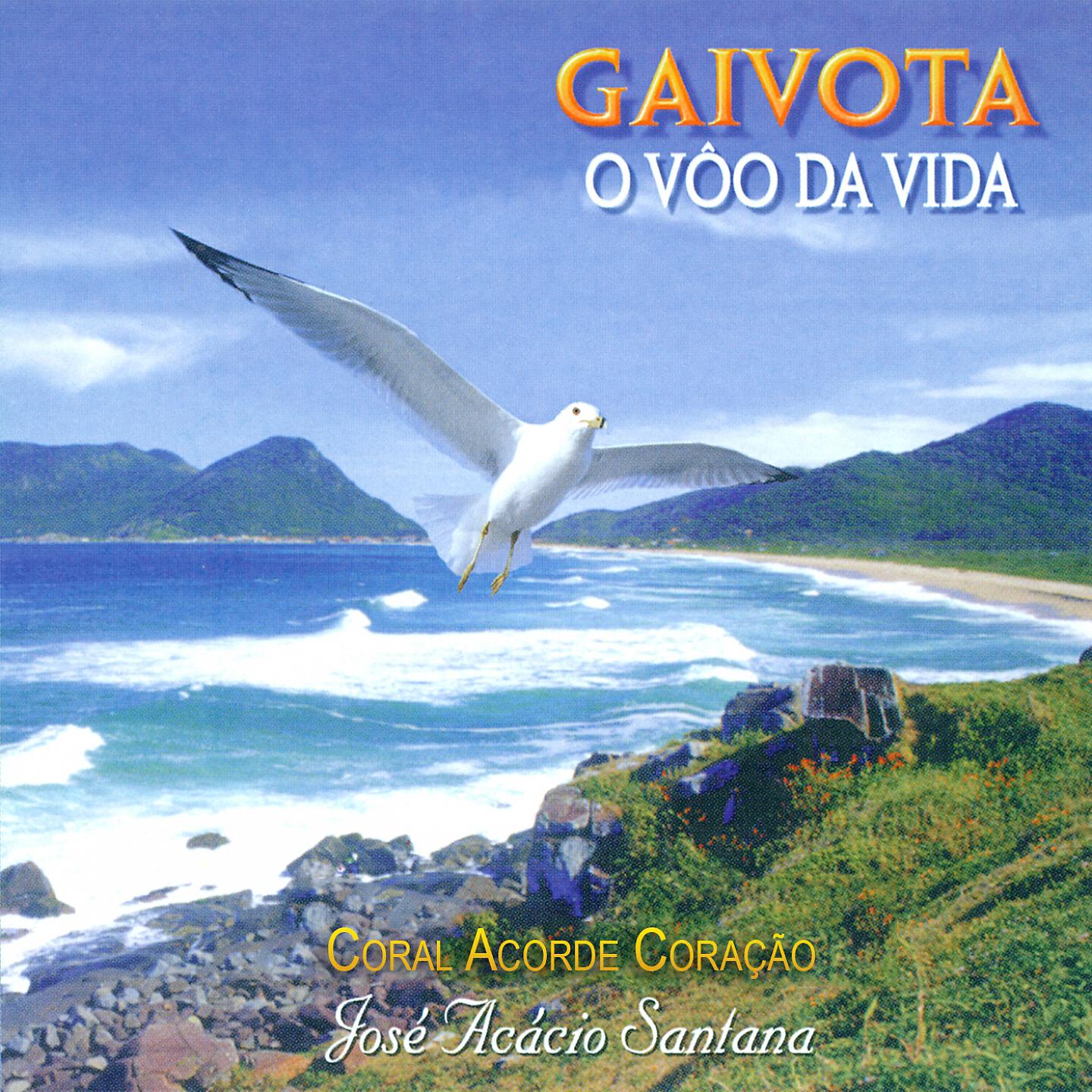 Релиз Gaivota: O Vôo da vida