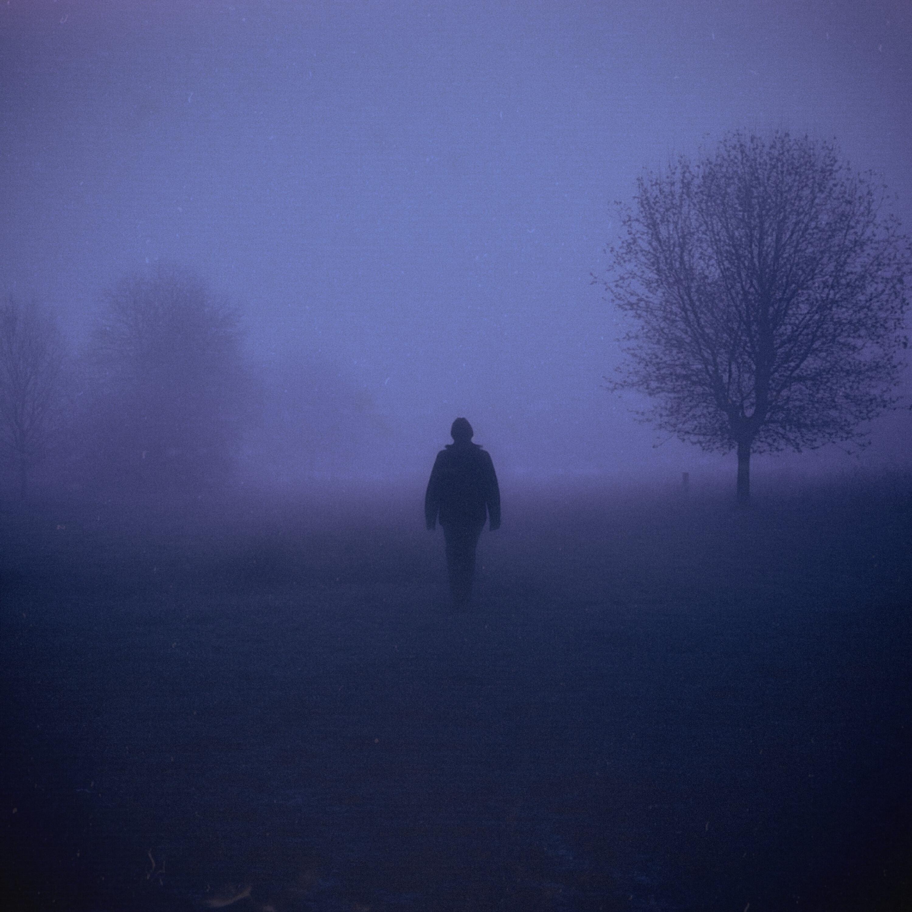 Релиз in the garden of memories