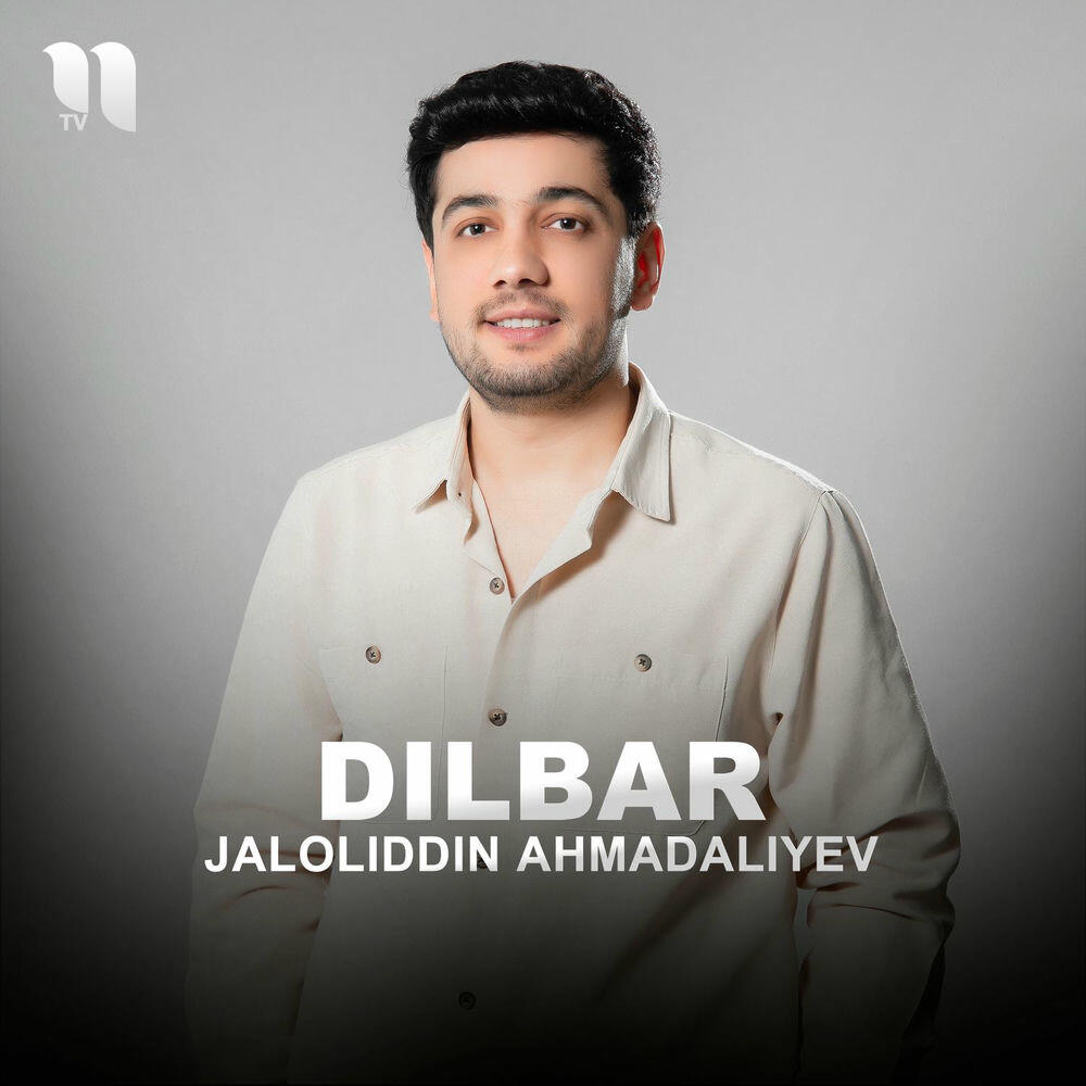 Постер альбома Dilbar