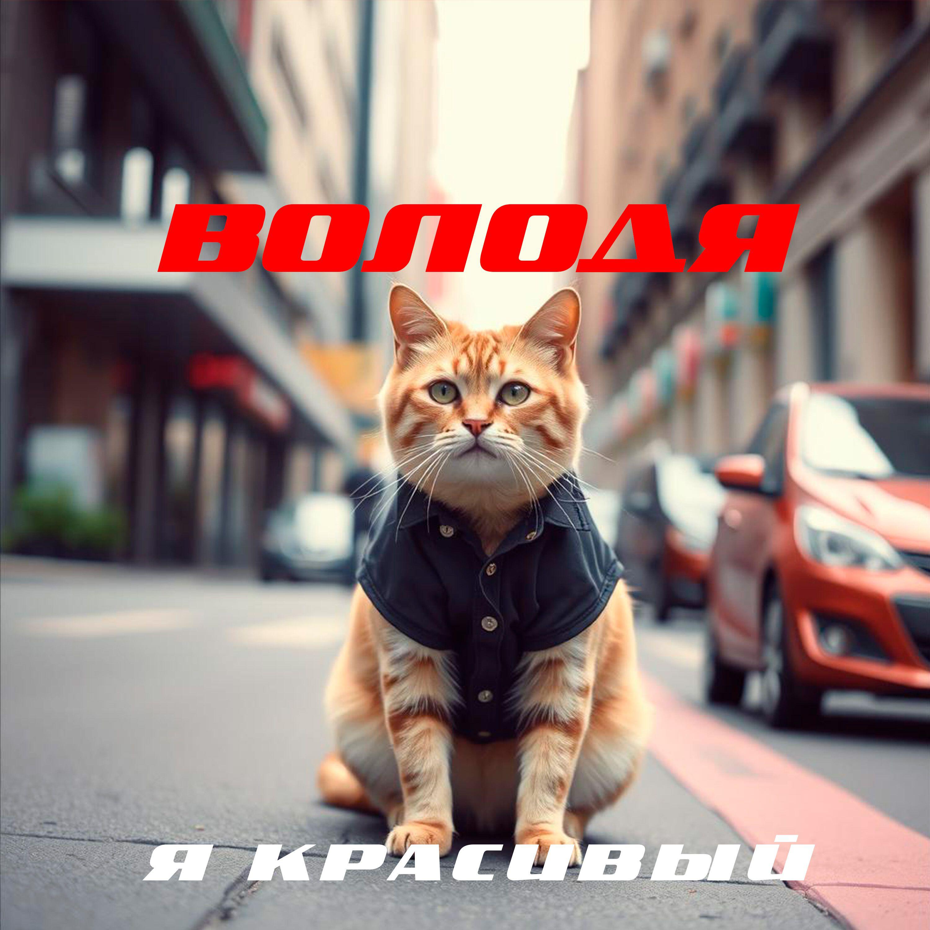 Постер альбома Я красивый