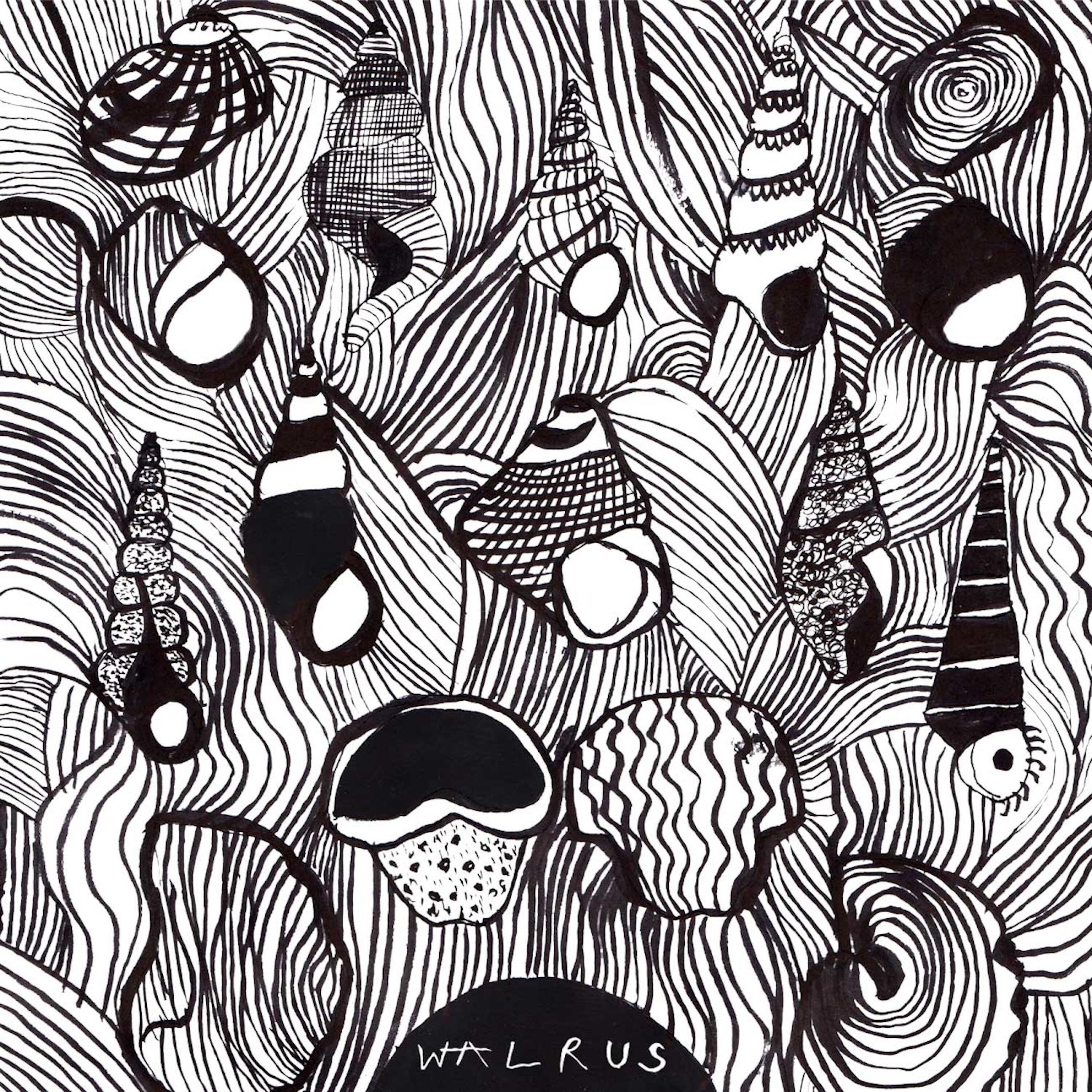 Релиз Walrus