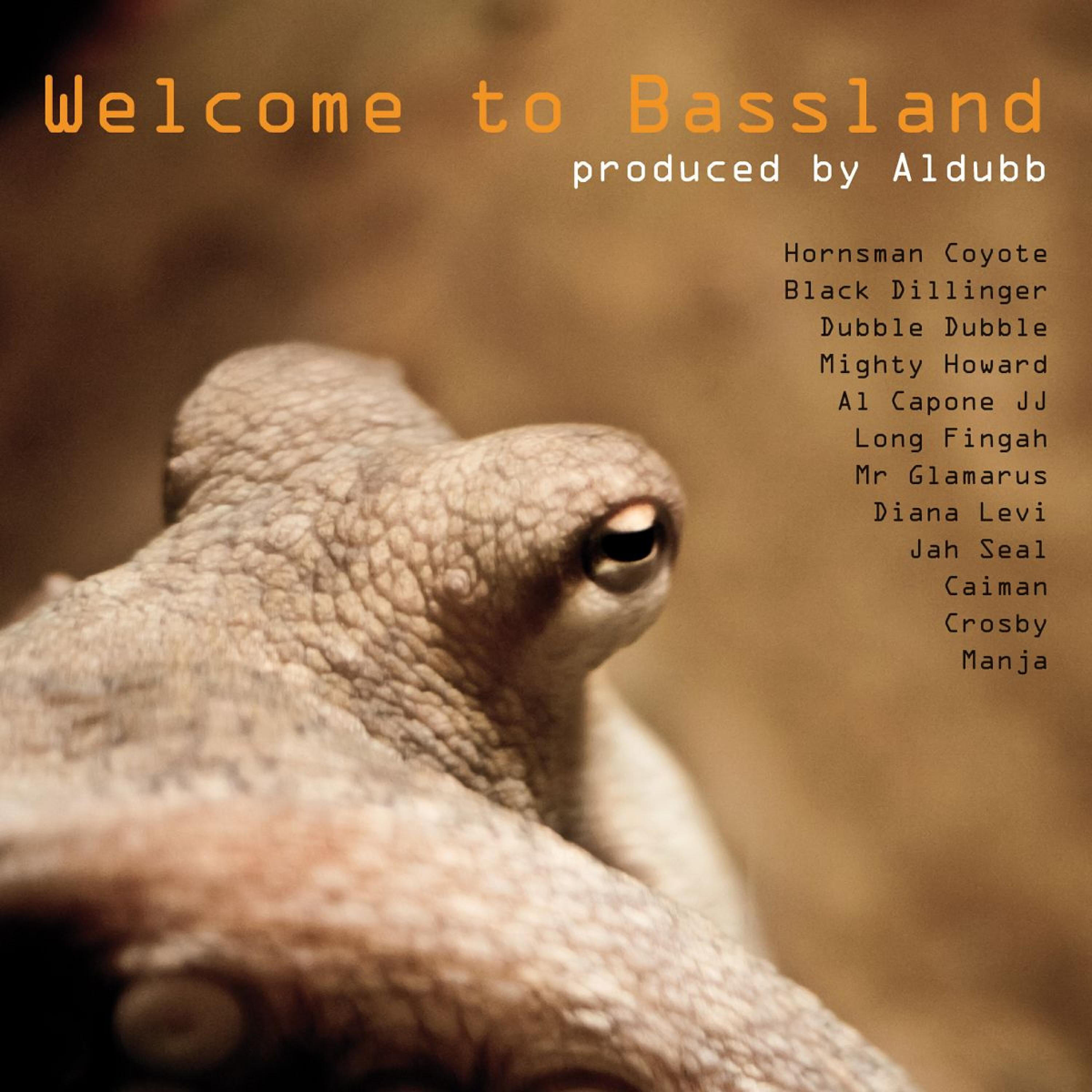 Релиз Welcome to Bassland