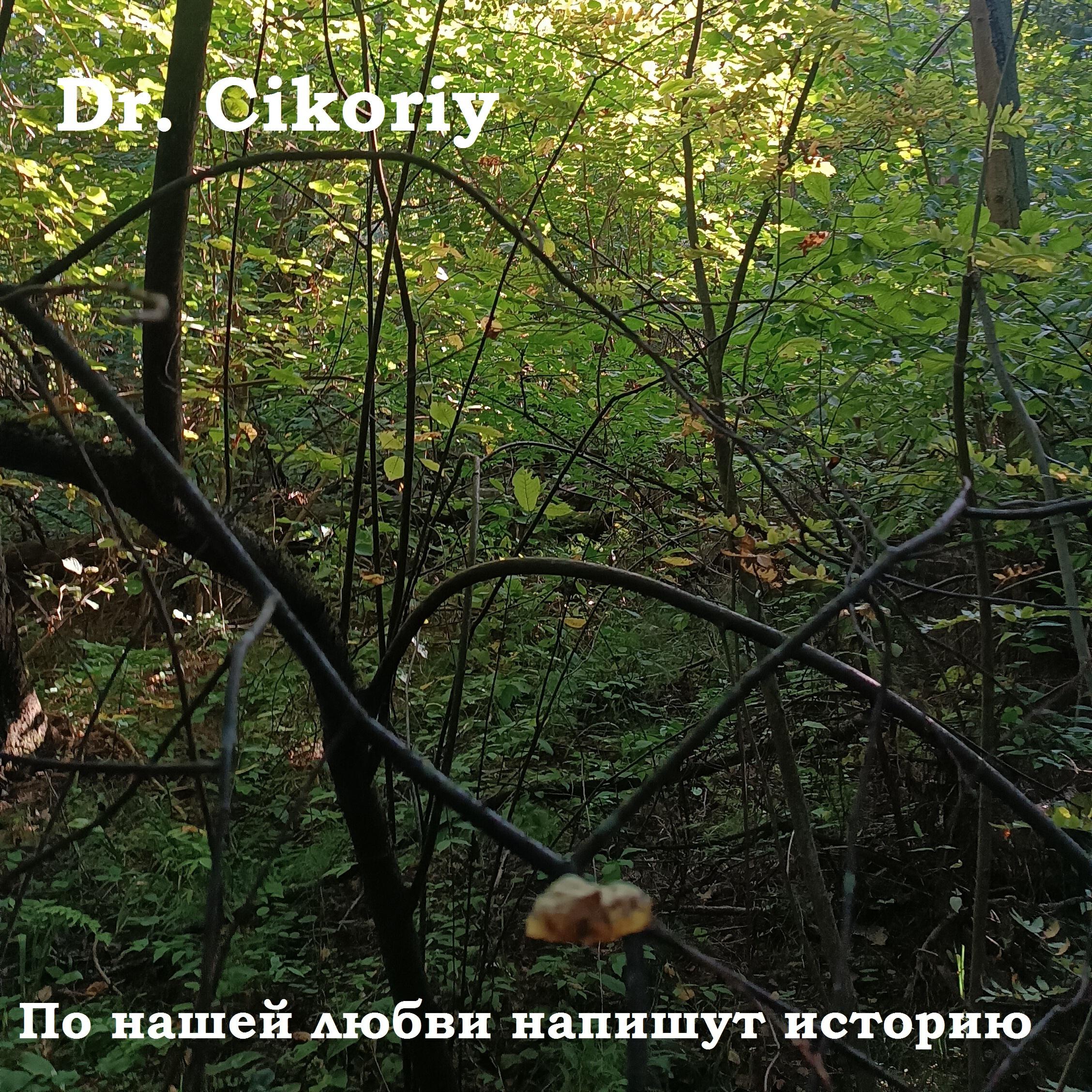 Релиз По нашей любви напишут историю