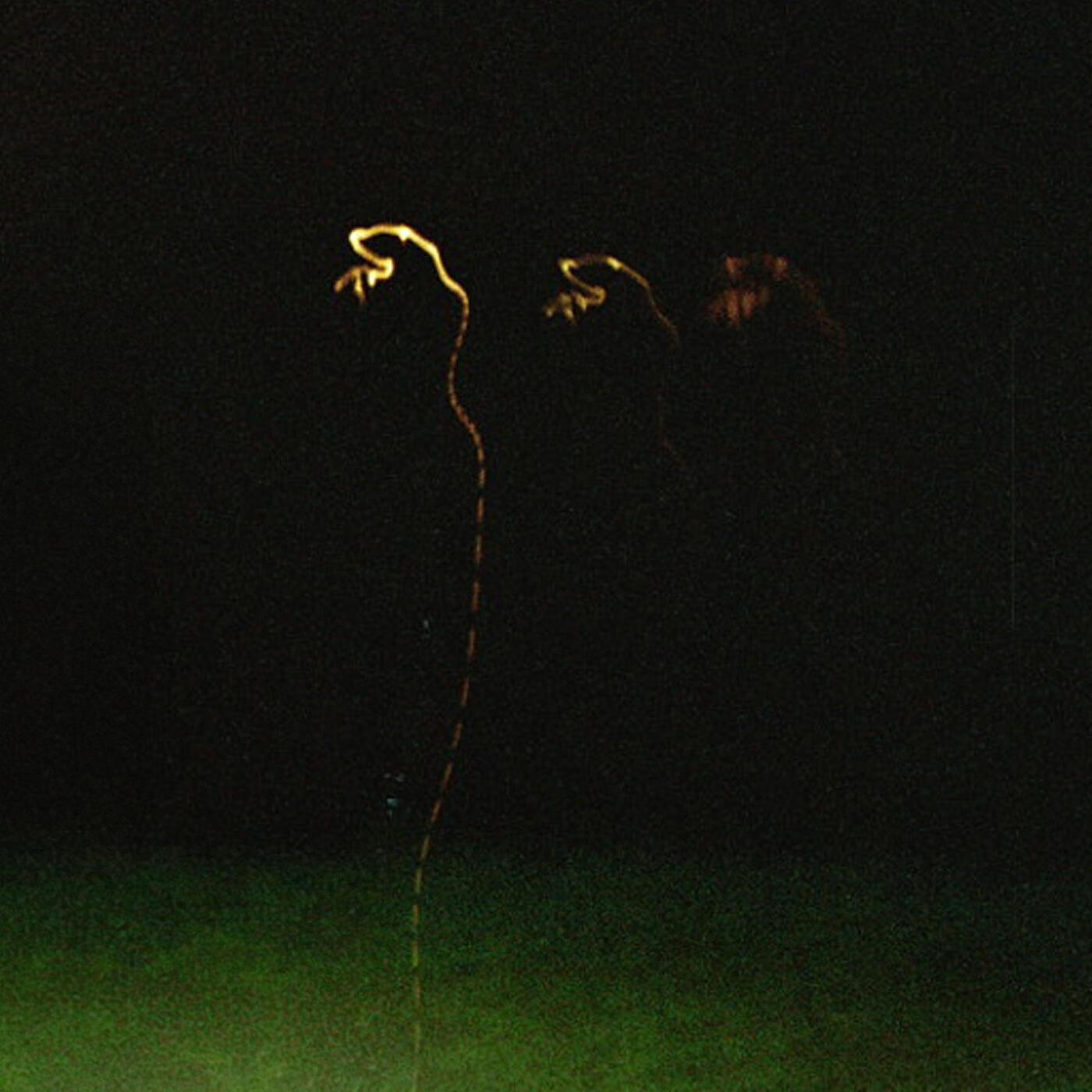 Yūjō