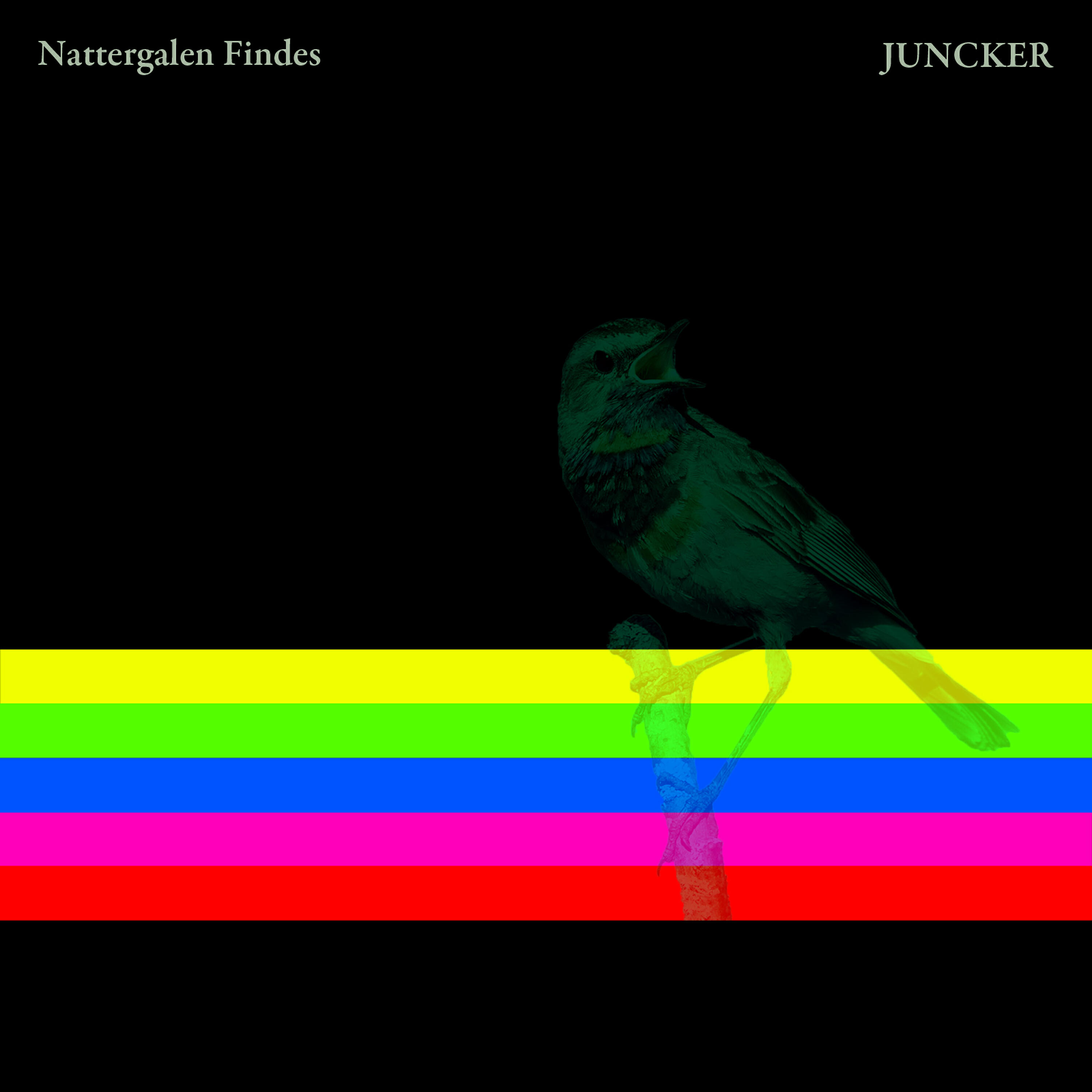 Релиз Nattergalen Findes