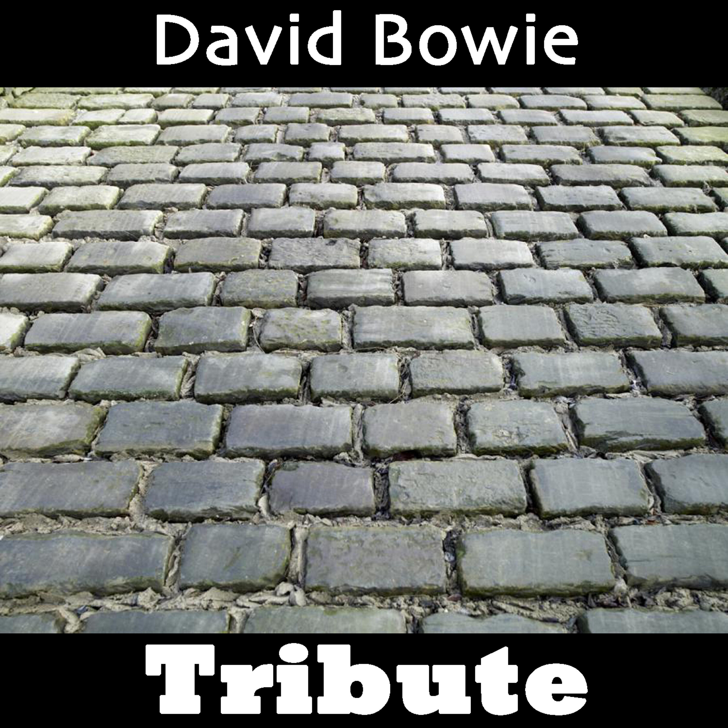 Релиз Space Oddity: Tribute To David Bowie Part 2
