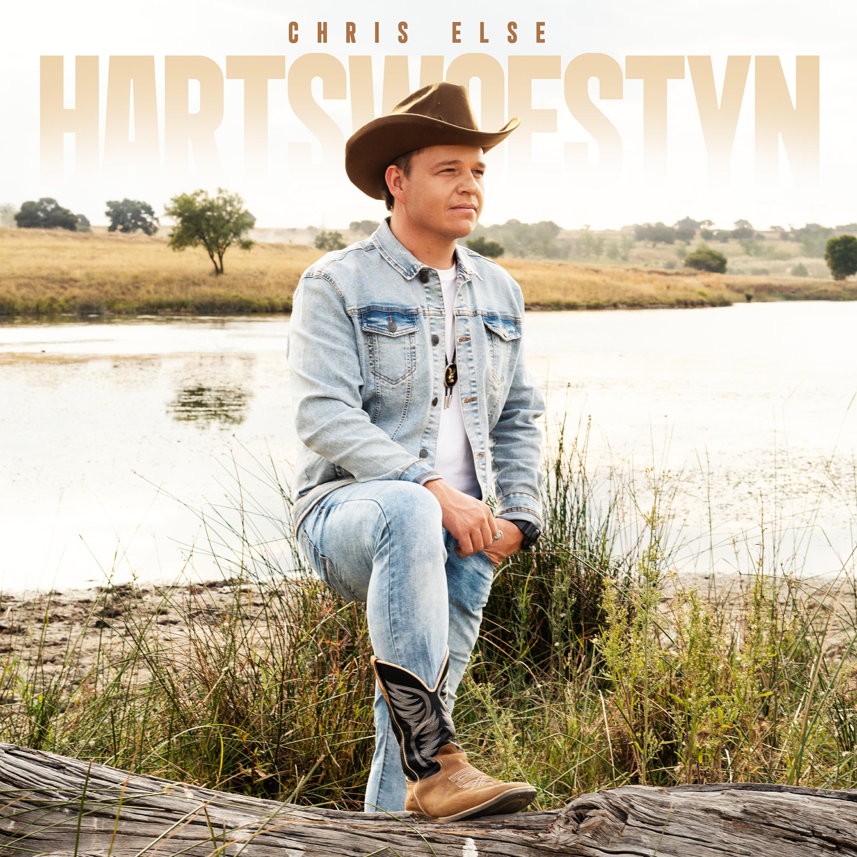 Релиз Hartswoestyn