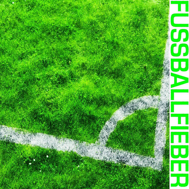 Релиз Fussballfieber