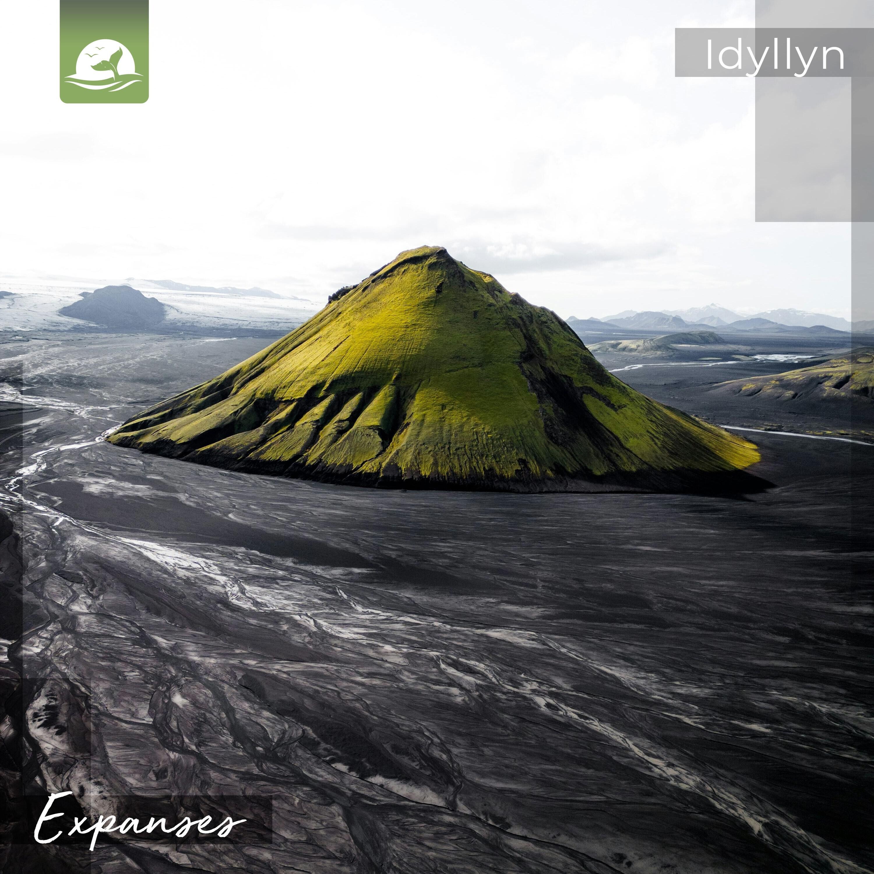 Релиз Expanses