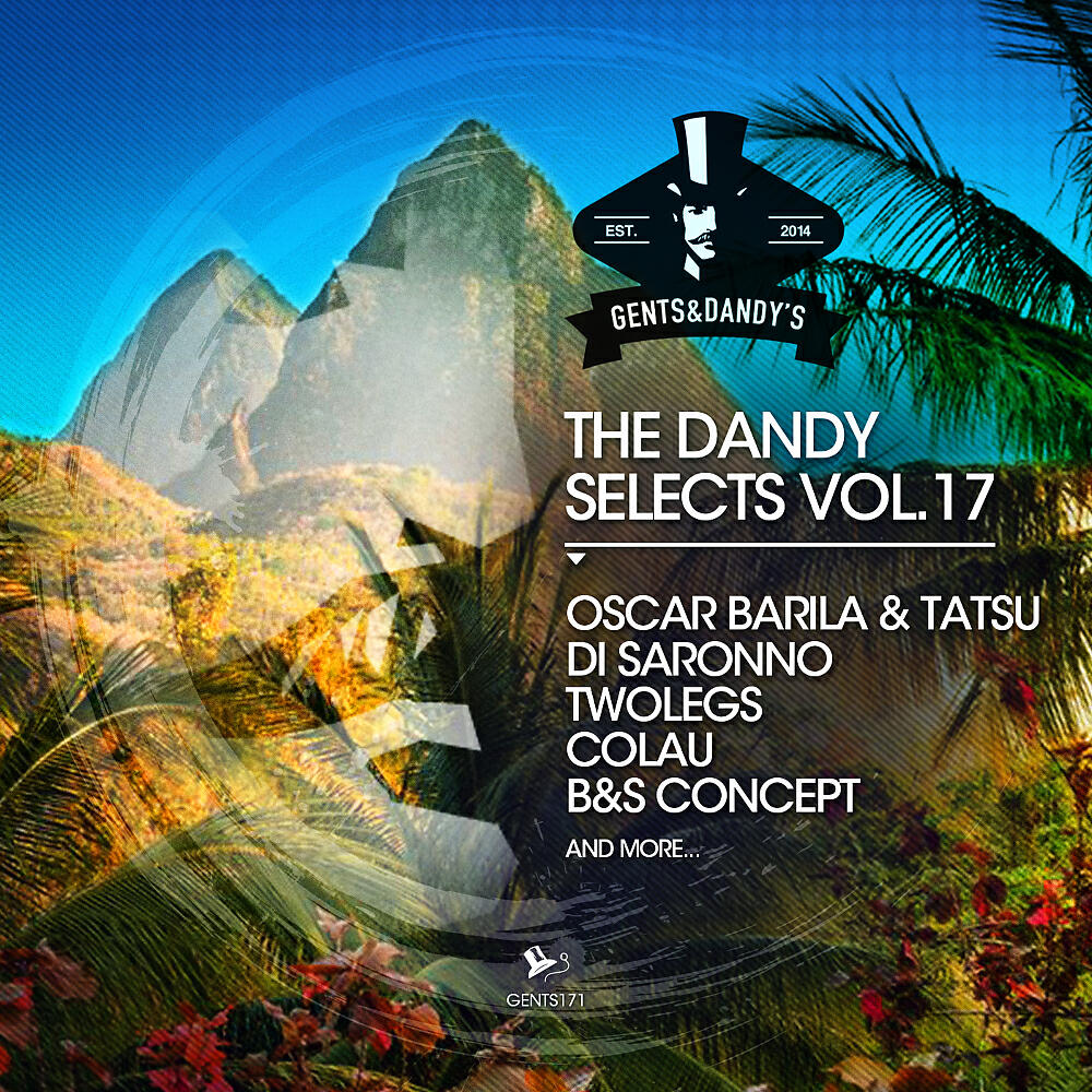 Постер альбома The Dandy Selects Vol. 17