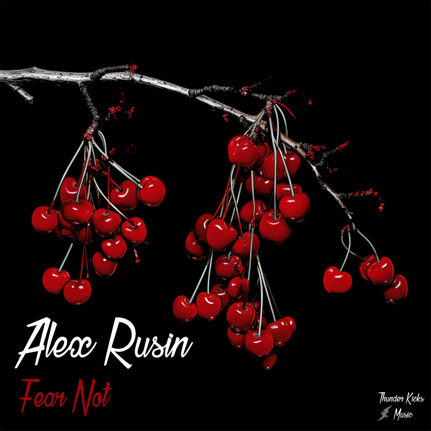 Постер альбома Fear Not