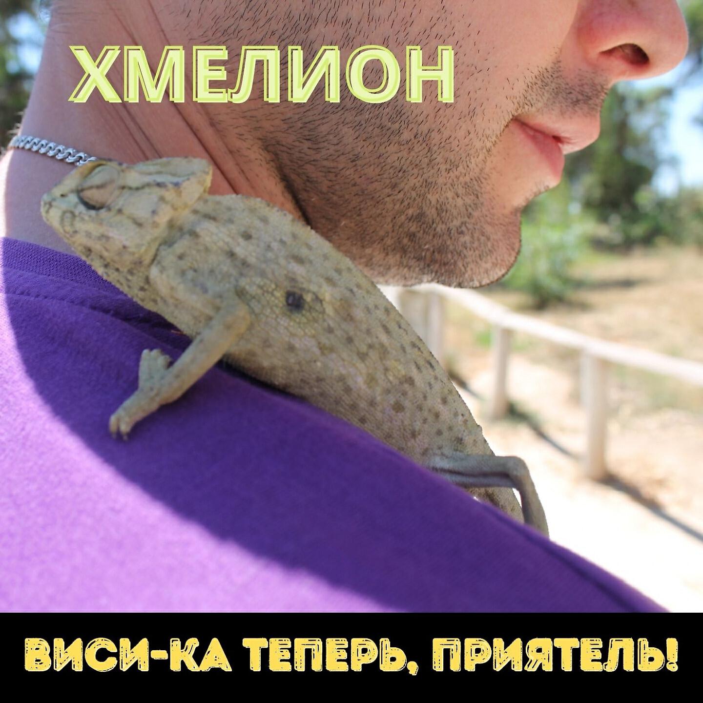 Релиз Виси-ка теперь, приятель!