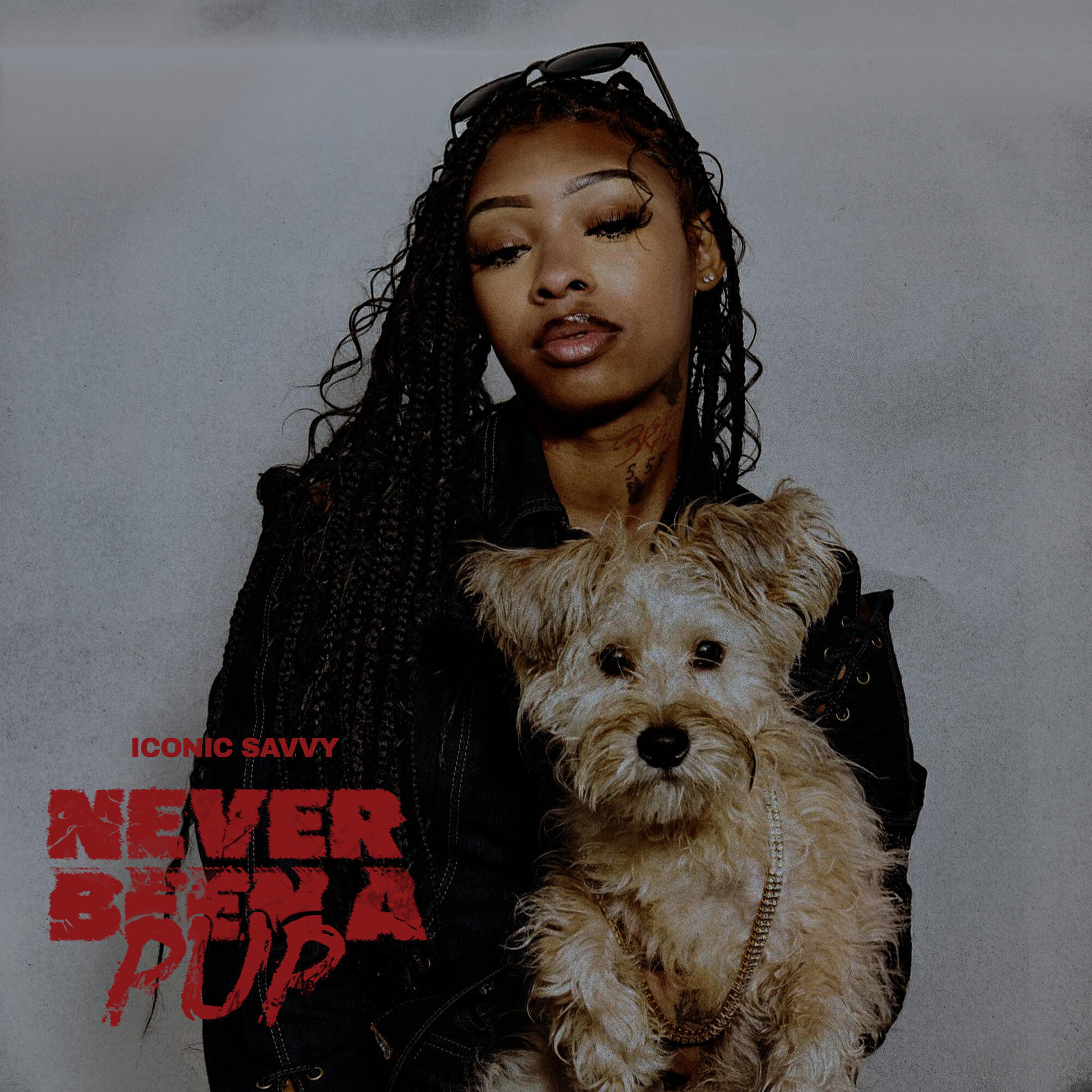 Релиз NEVER BEEN A PUP