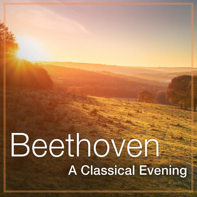 Трек 11 Bagatelles, Op. 119: 8. Moderato cantabile