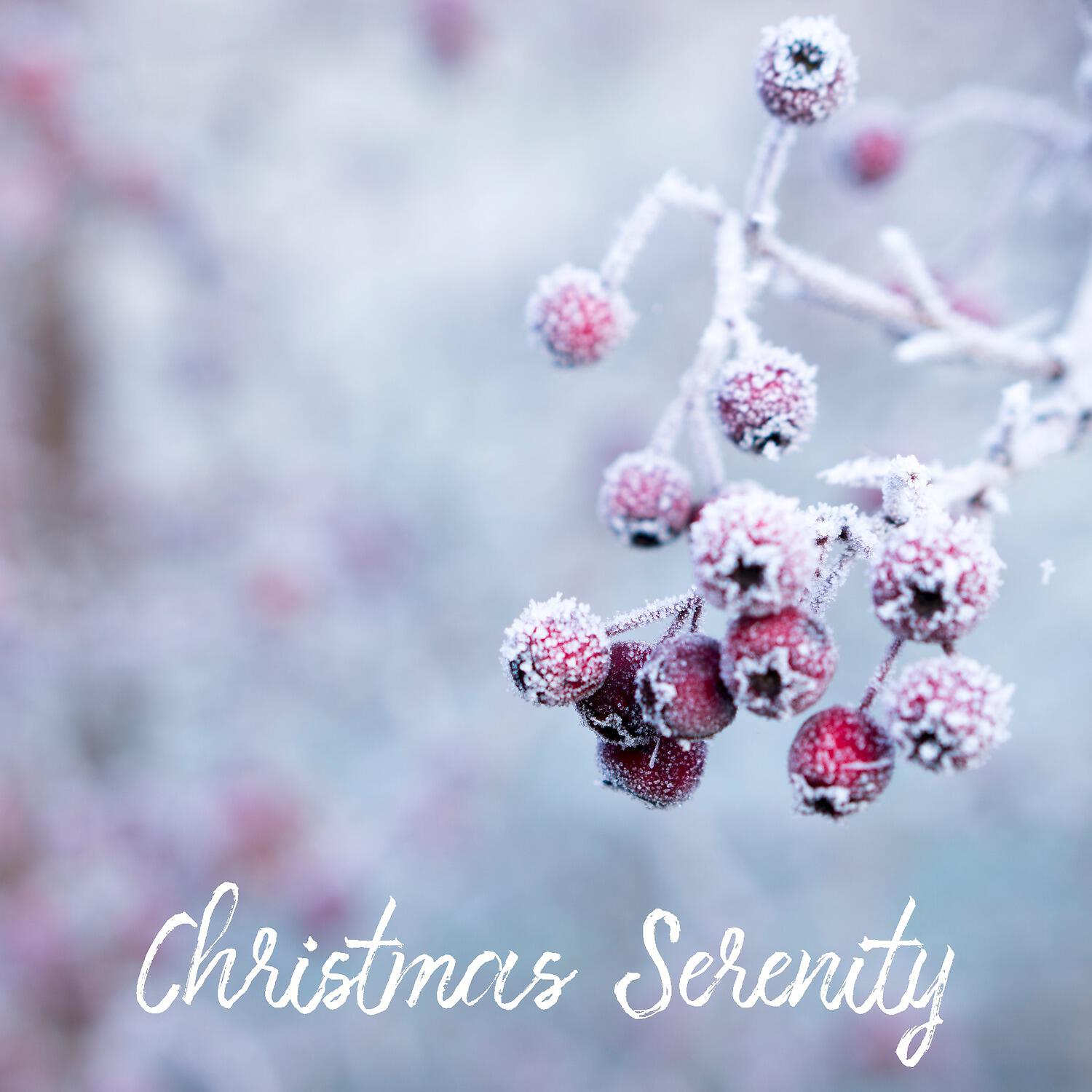 Релиз Christmas Serenity
